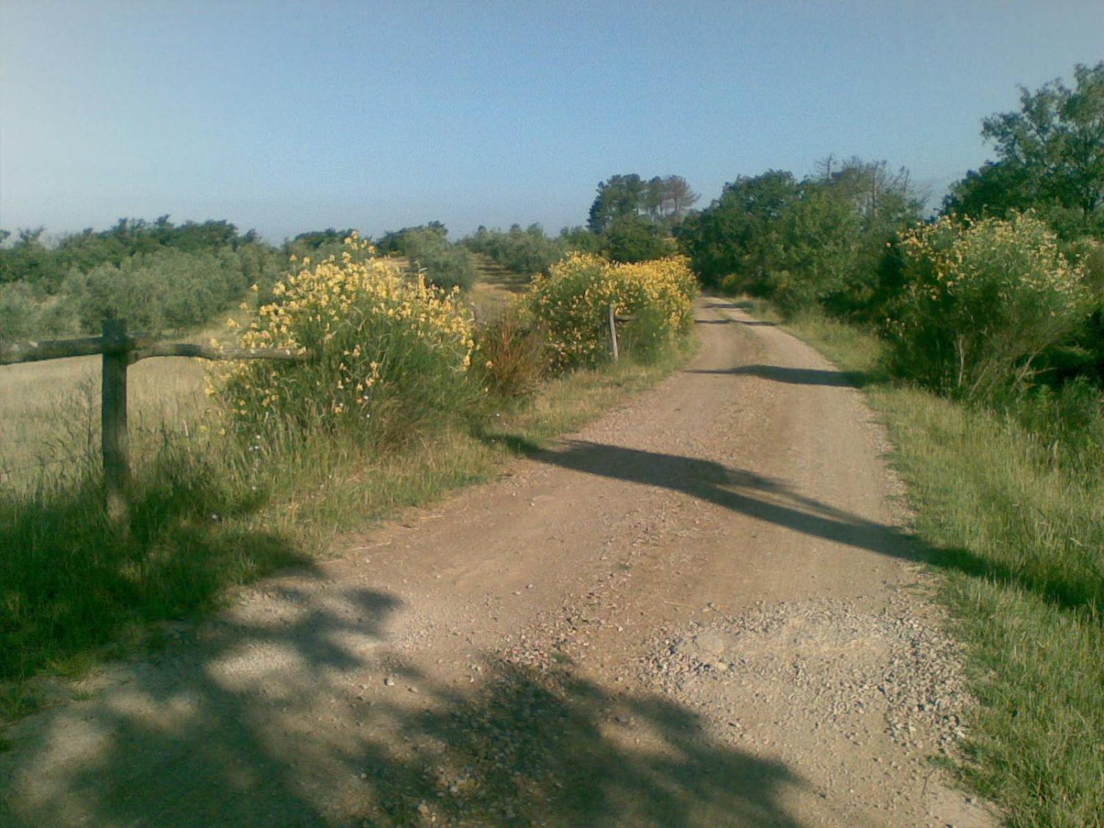 Photo 39