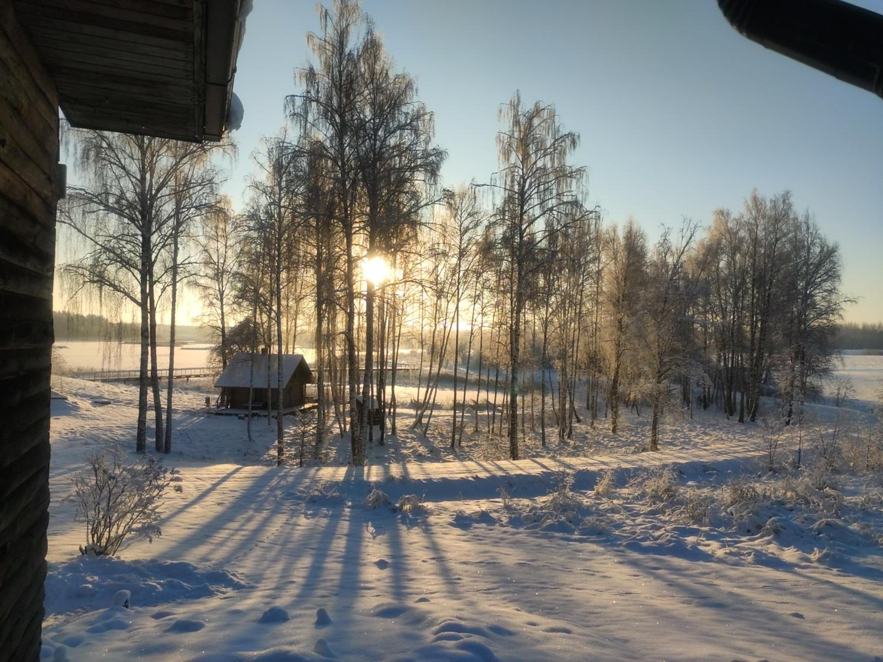 Photo 42
