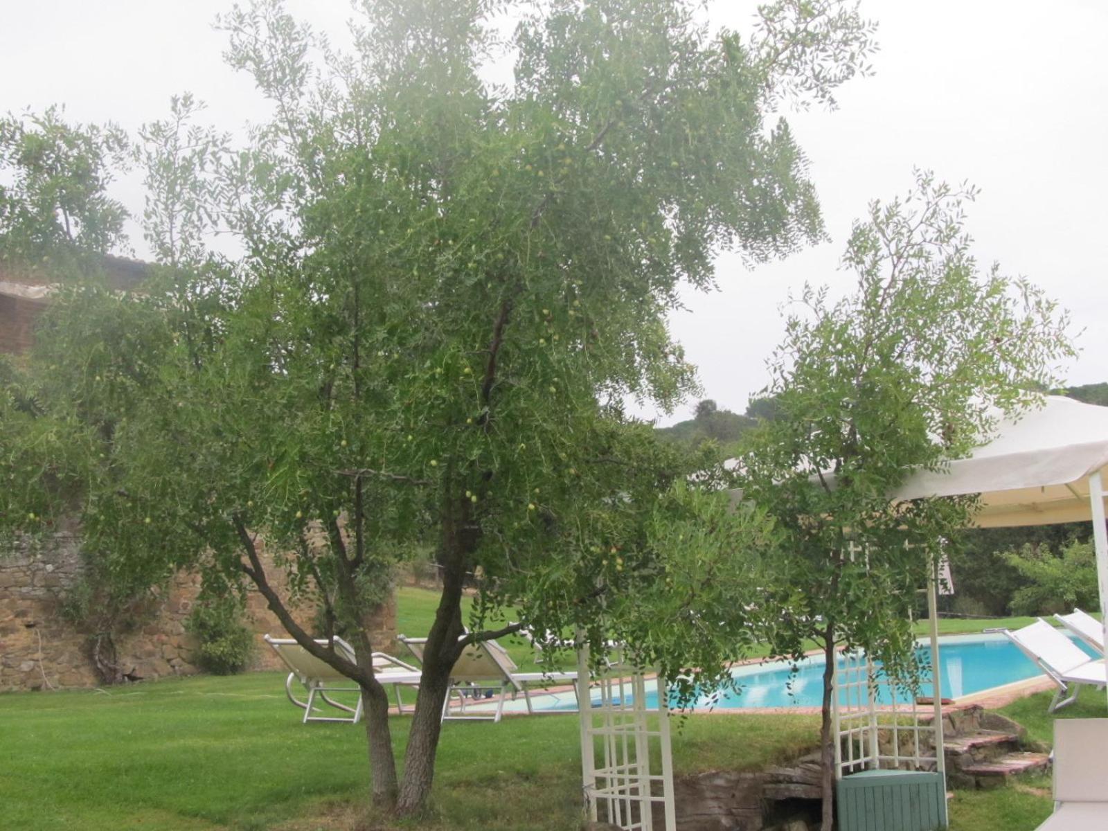 Photo 28