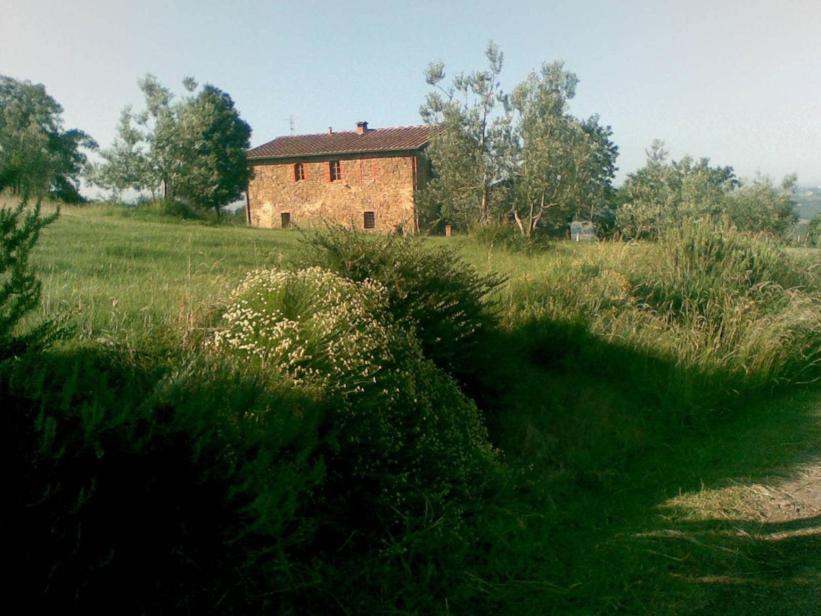 Photo 66