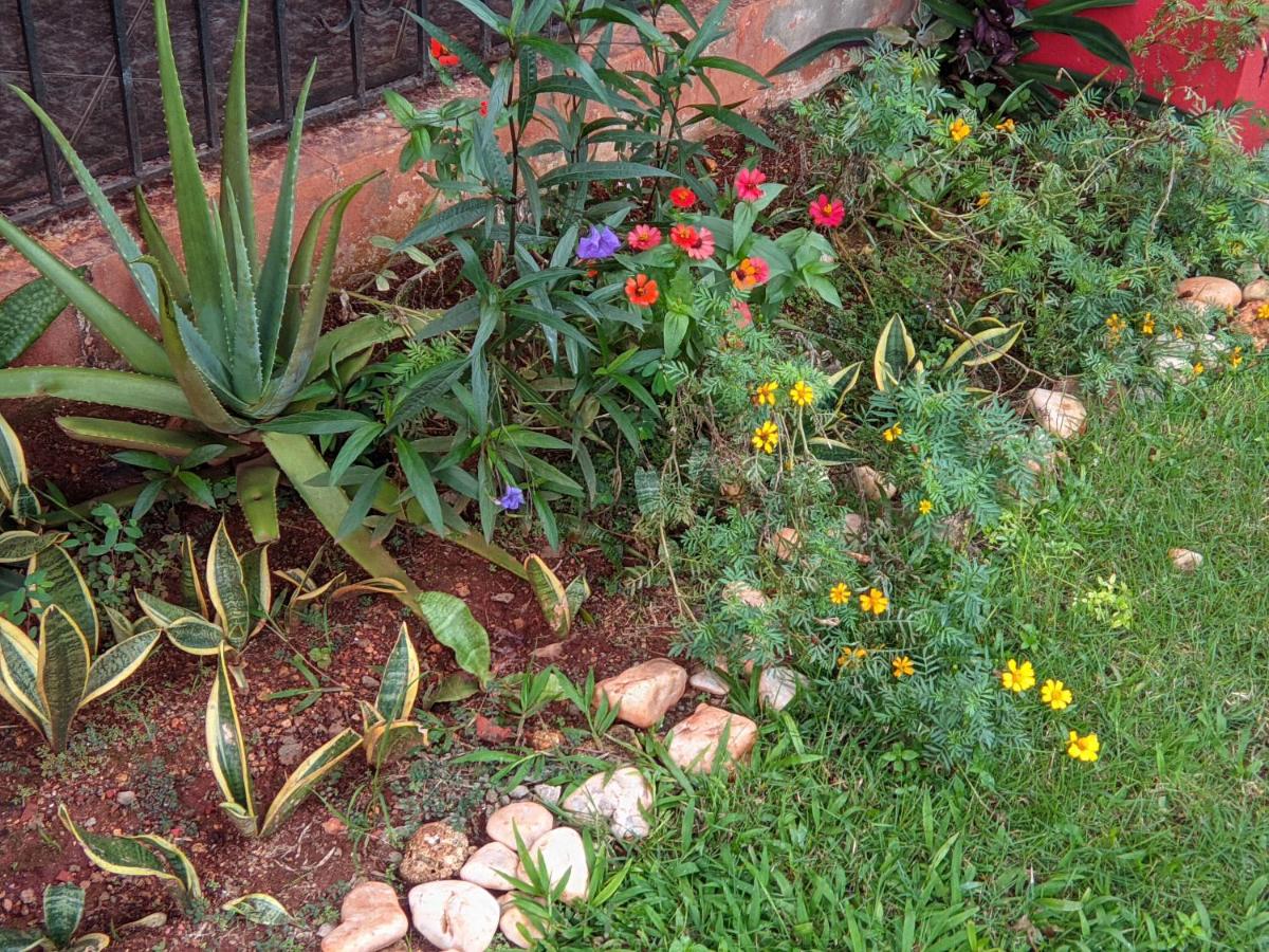 Photo 17
