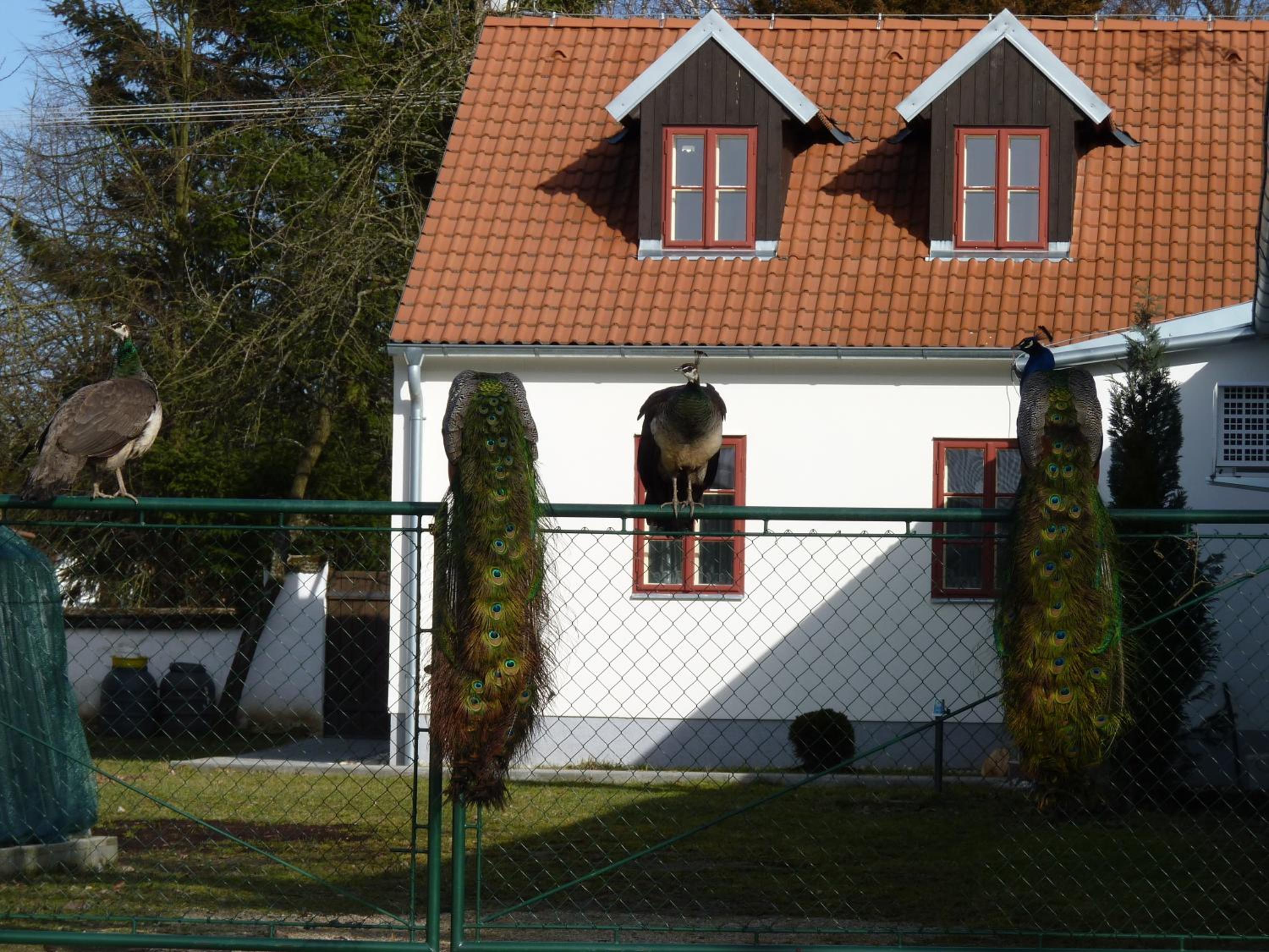 Penzion U Houšků