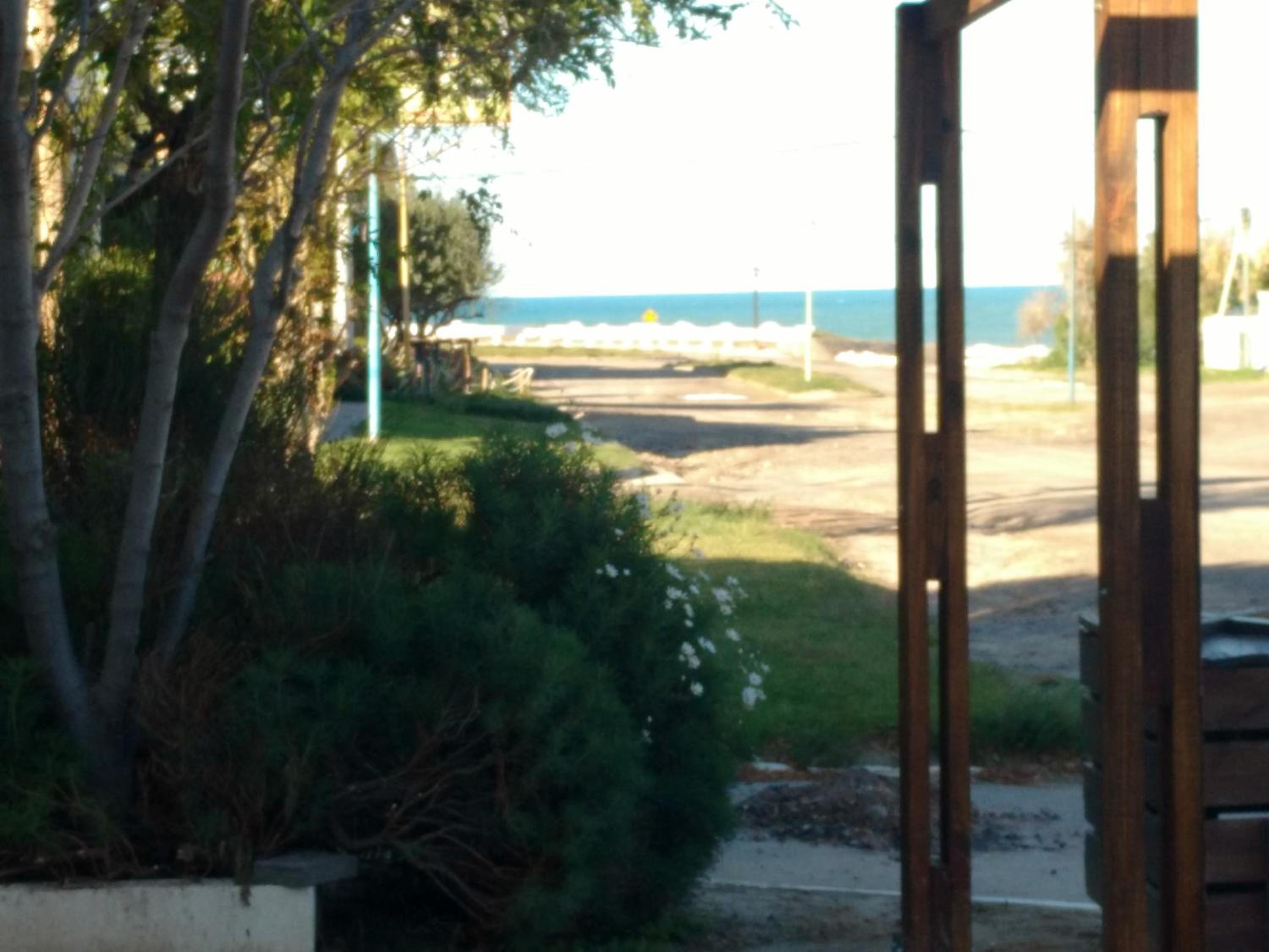 Hippocampus Casas de Mar