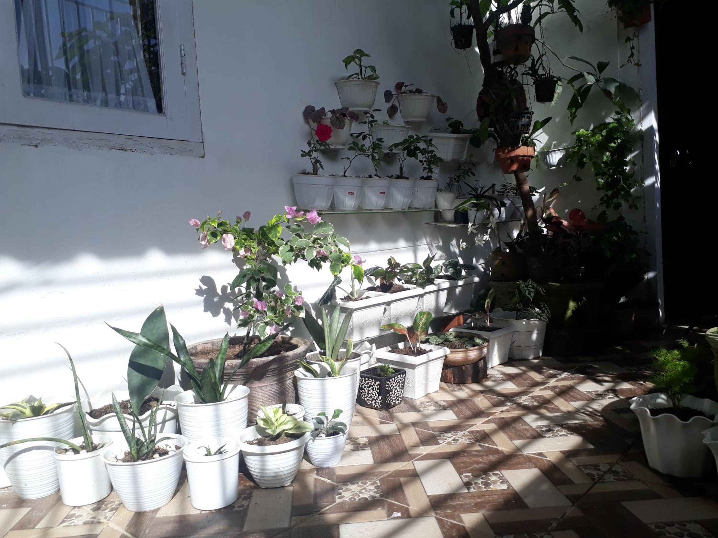 Photo 46