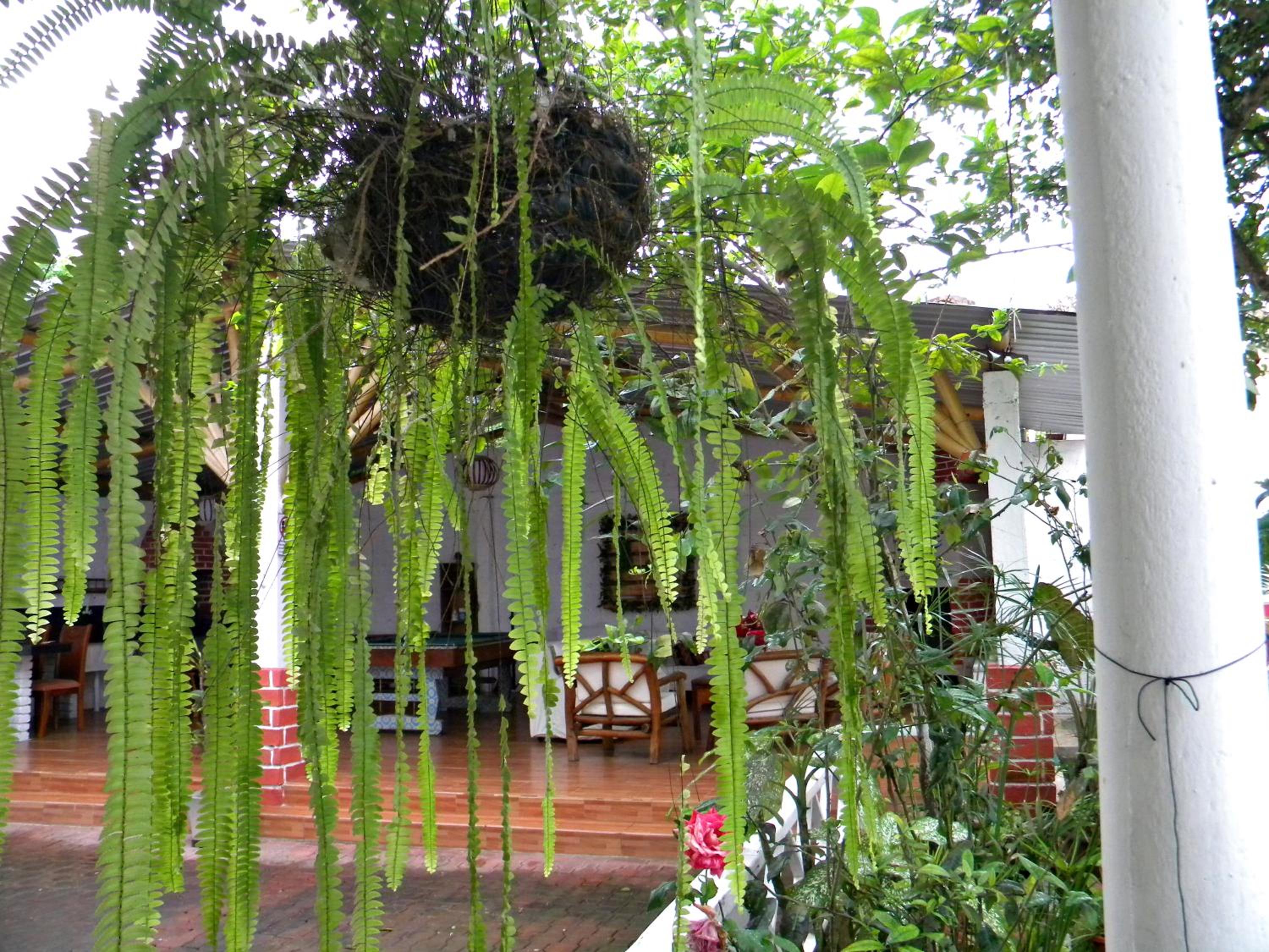 Photo 49