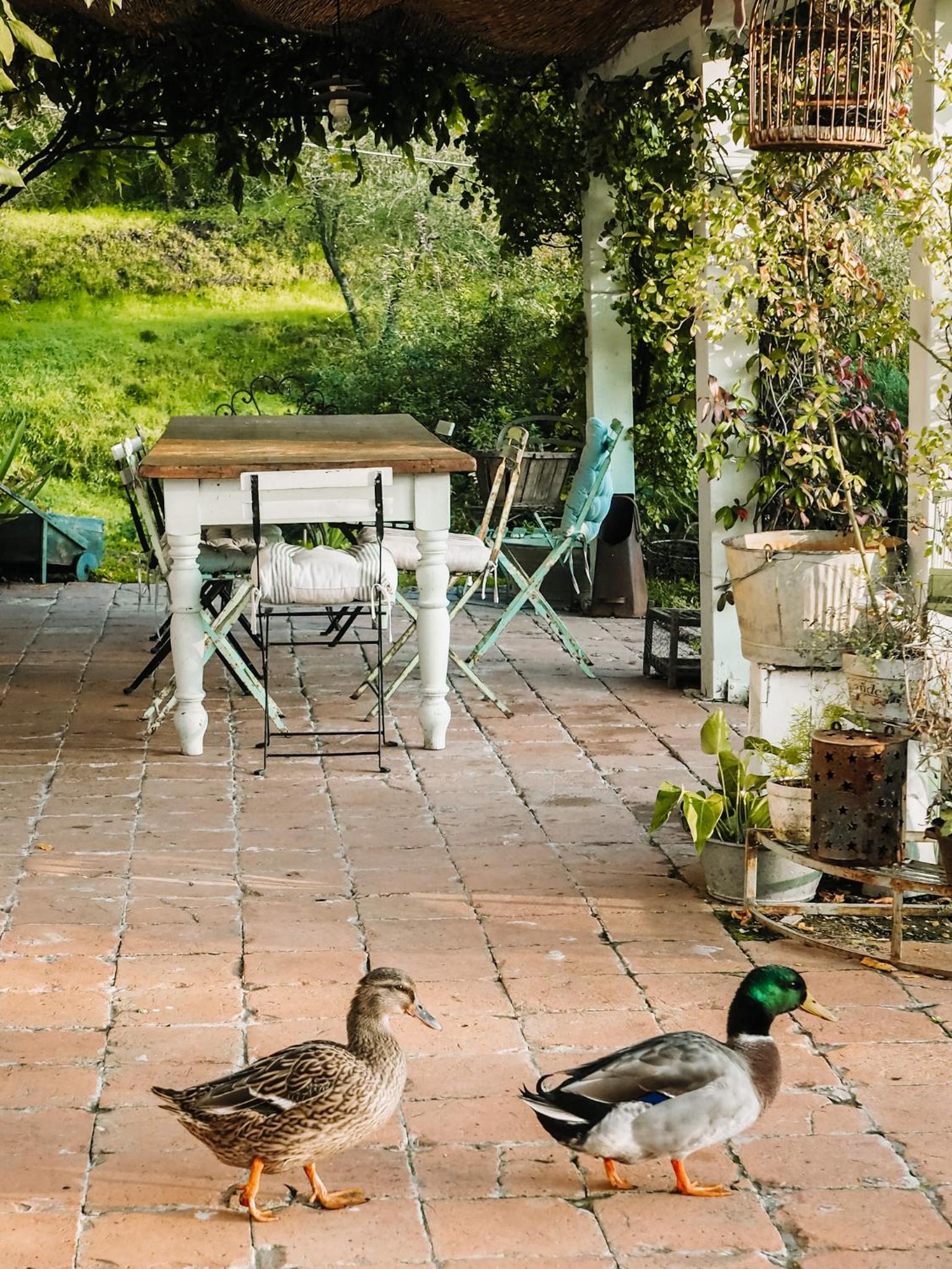 Le Molina B&B