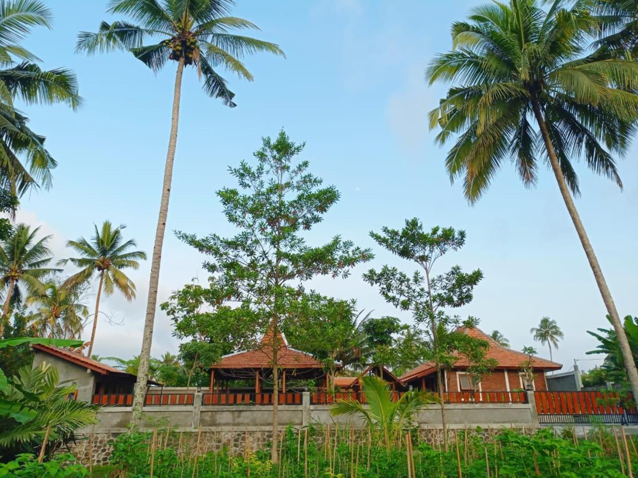 Angler Homestay & Joglo view 3