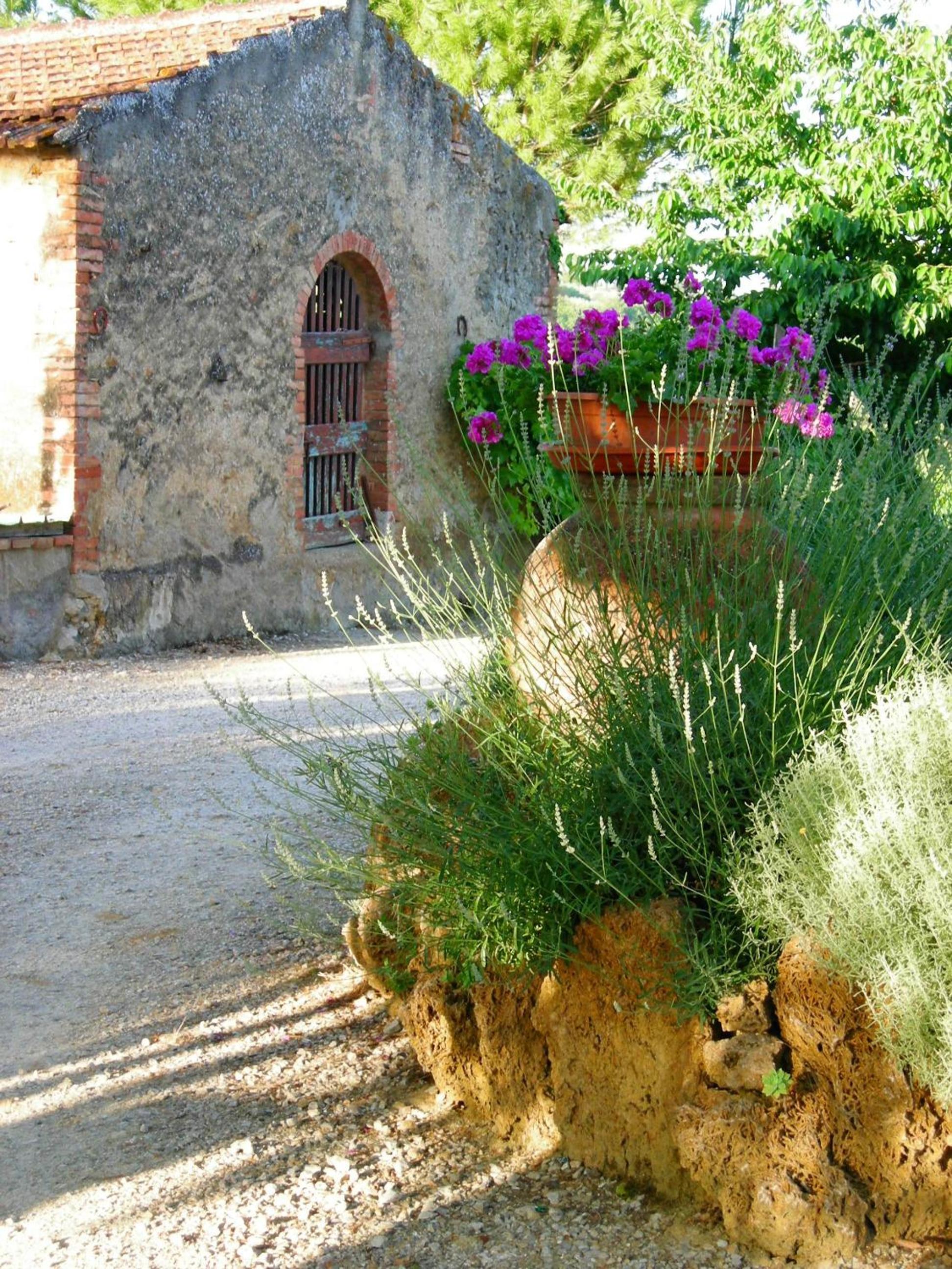 Photo 28