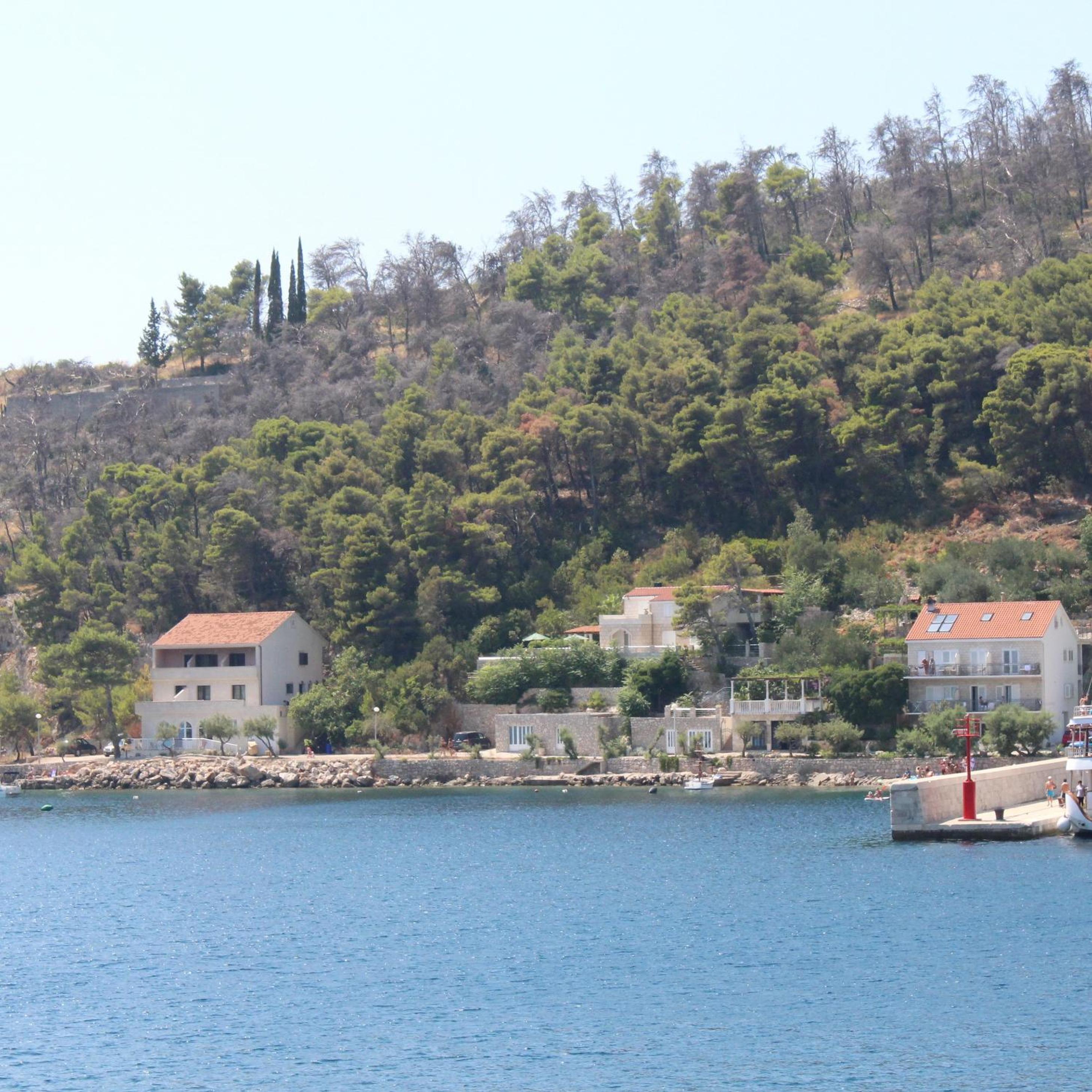 Photo 41