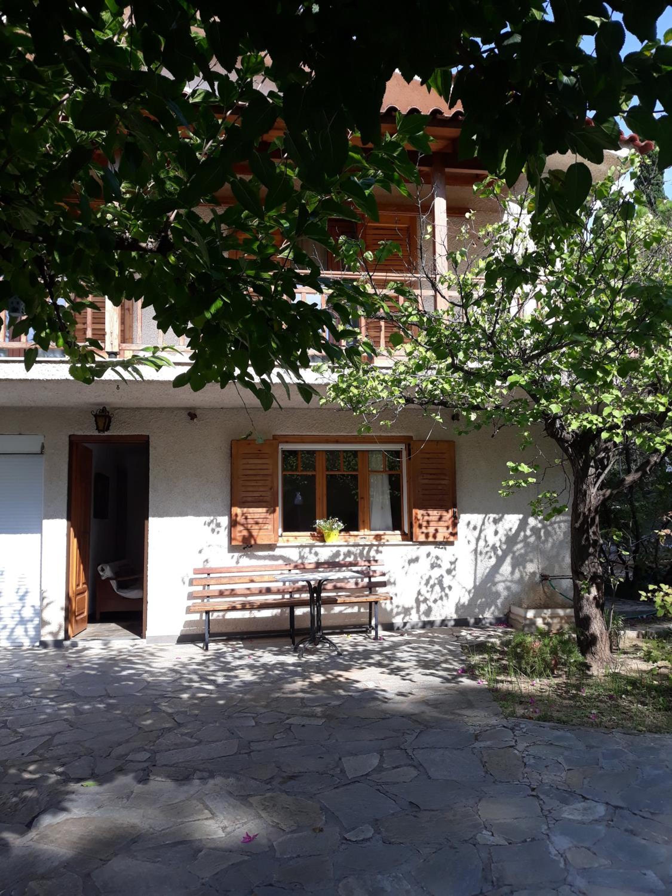 Σπίτι σε ελαιώνα, house in an olive grove view 4