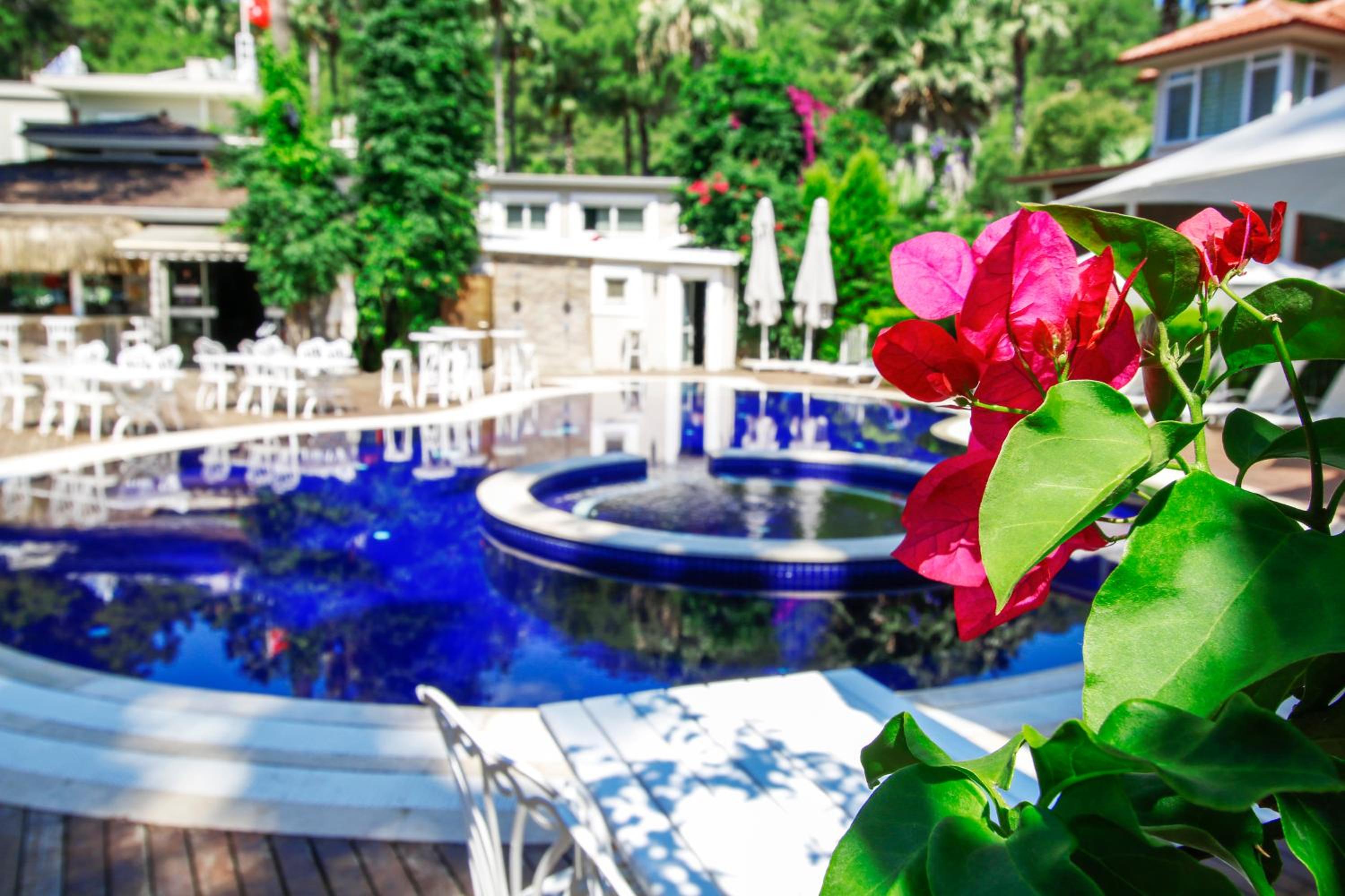 Joya Del Mar Hotel - Image 5