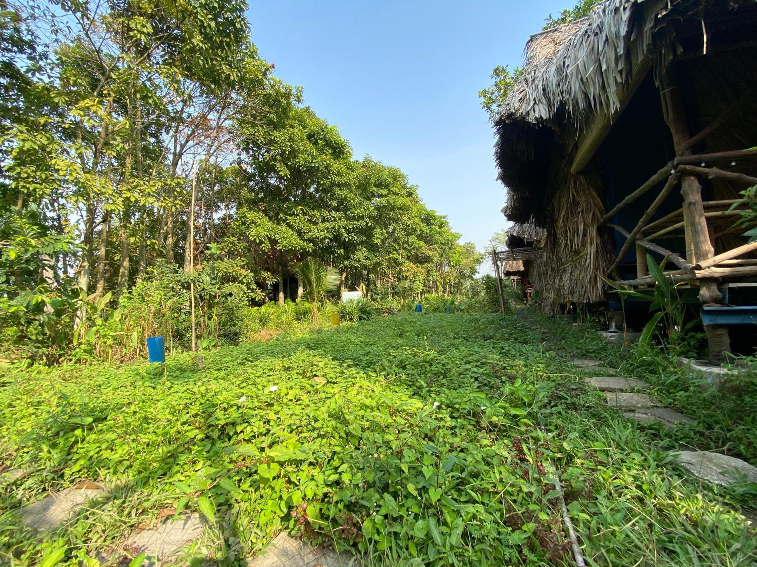 Saigon Garden Homestay