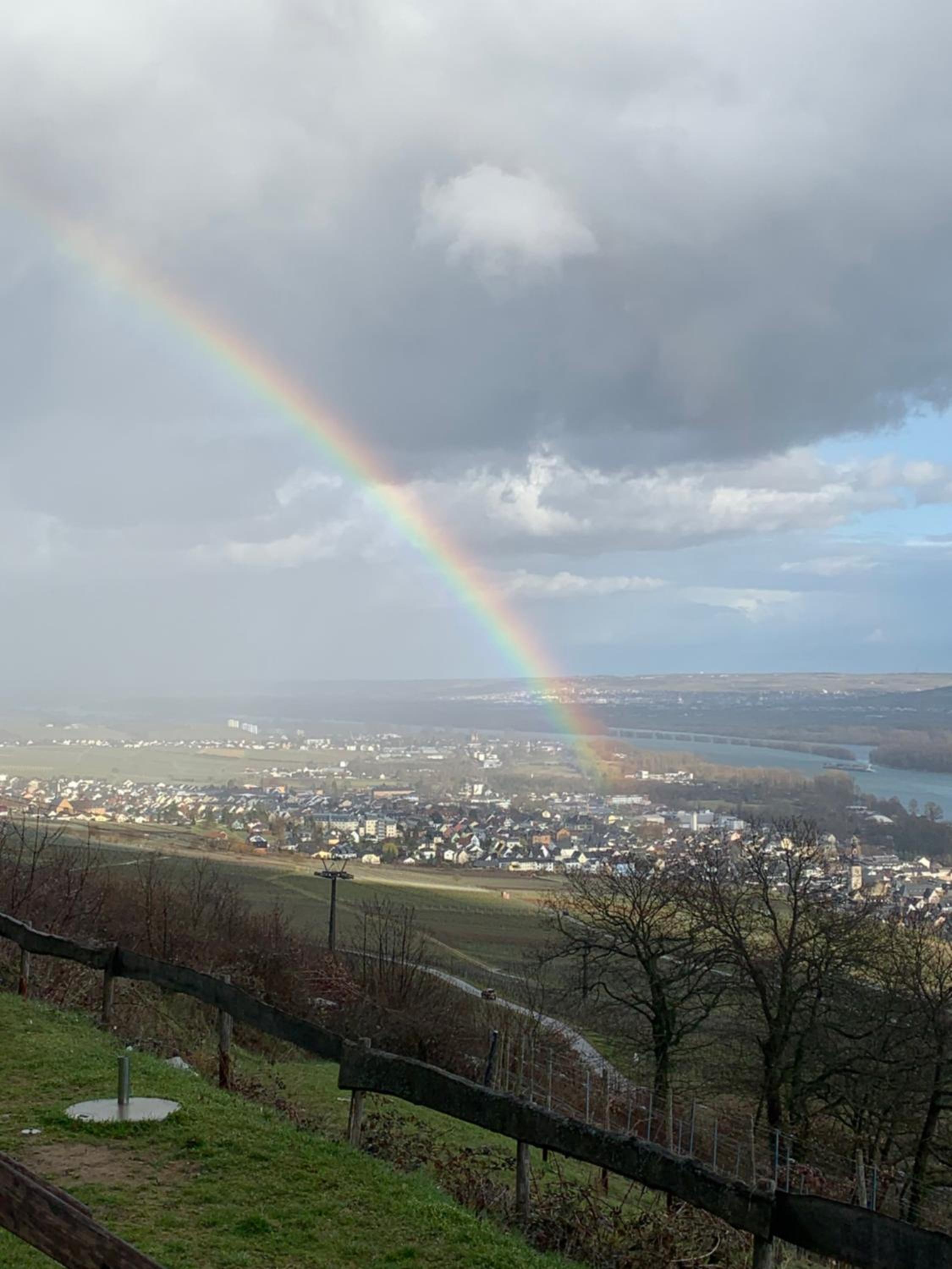 das Rebenhaus view 4