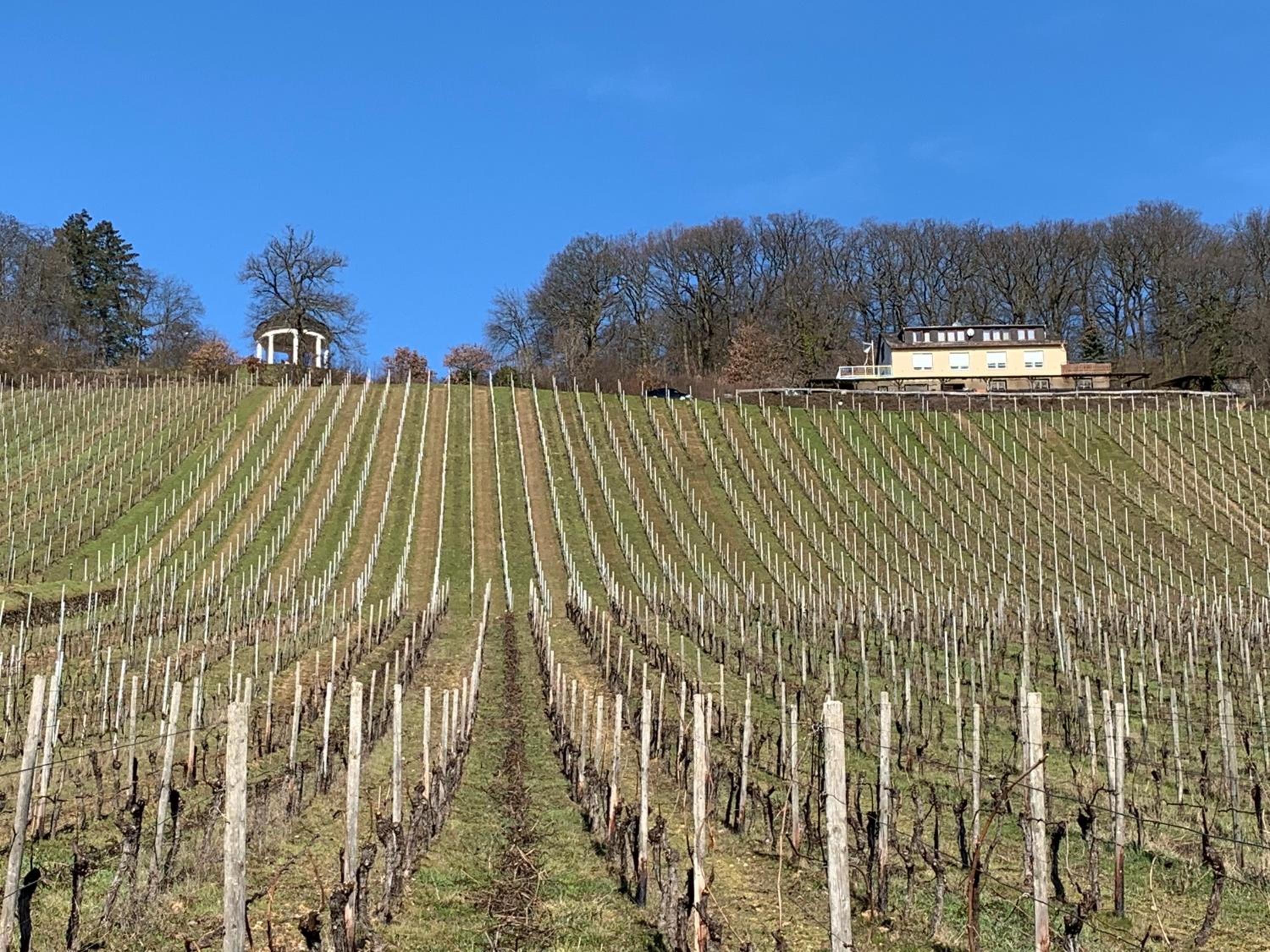 das Rebenhaus view 3