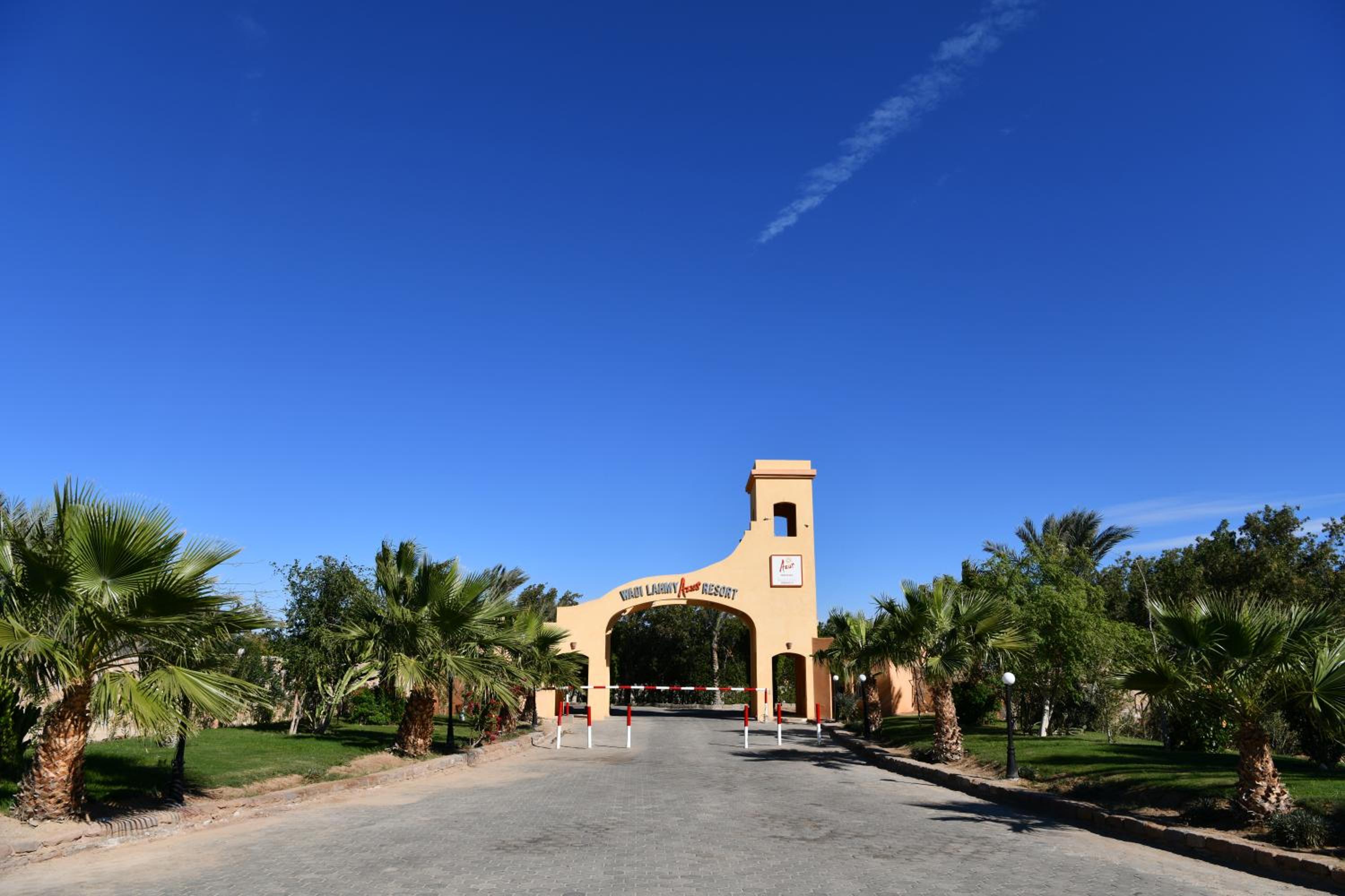 Wadi Lahmy Azur Resort - Soft All-Inclusive — photo 90
