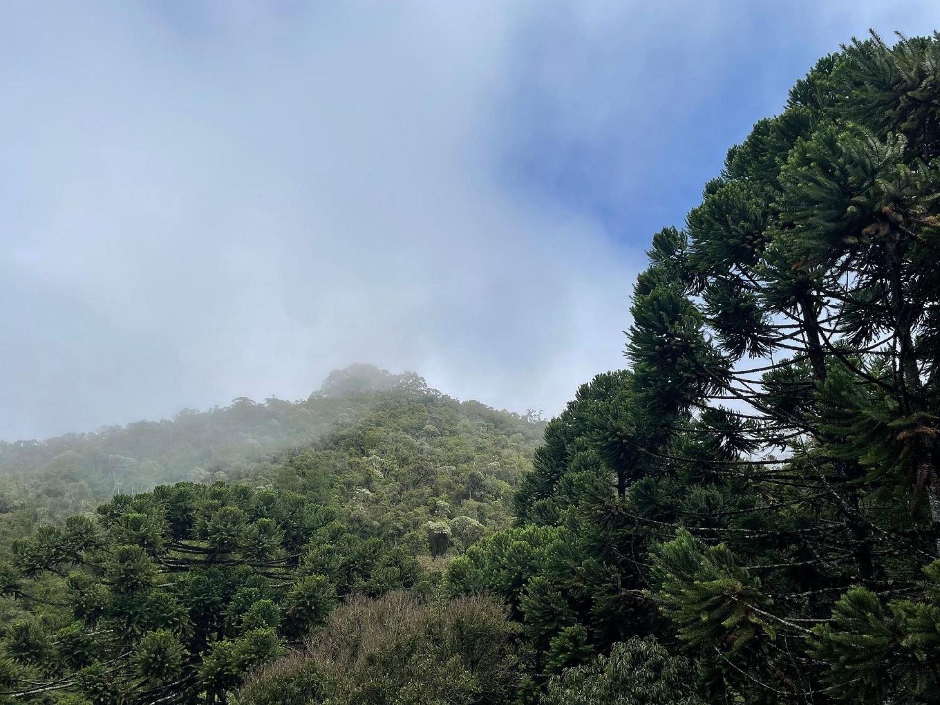 Vale do Lajeado - Mountain chalets