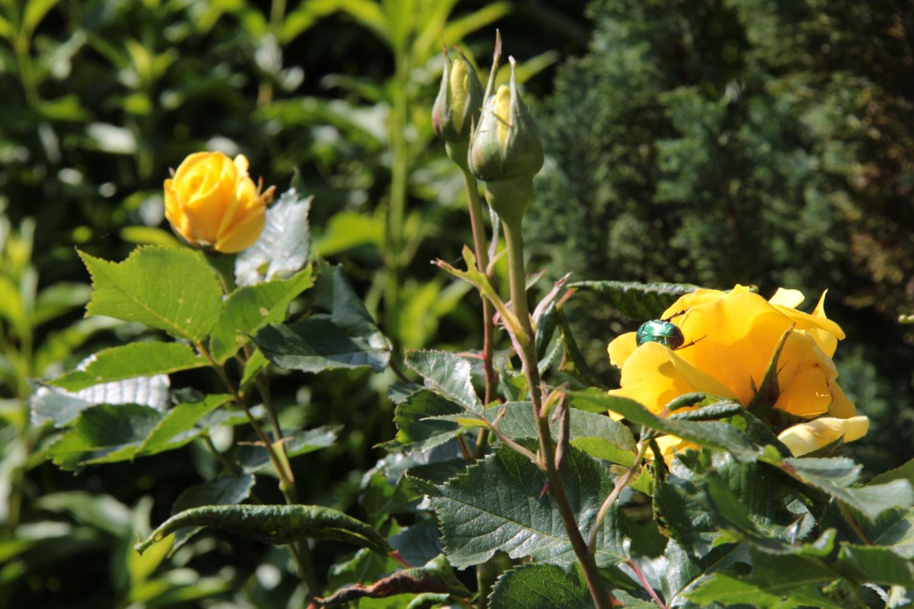 Photo 14