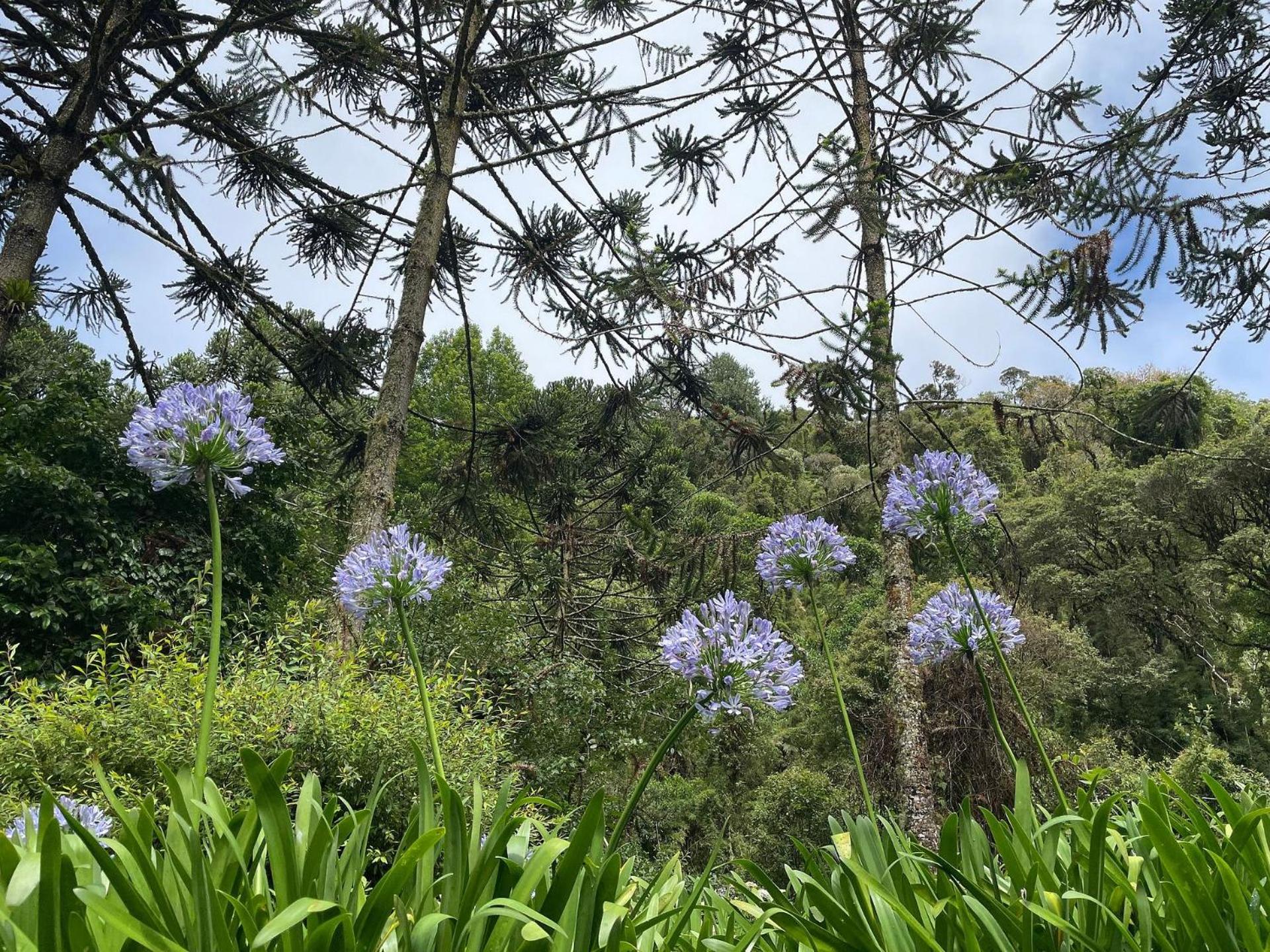 Vale do Lajeado - Mountain chalets