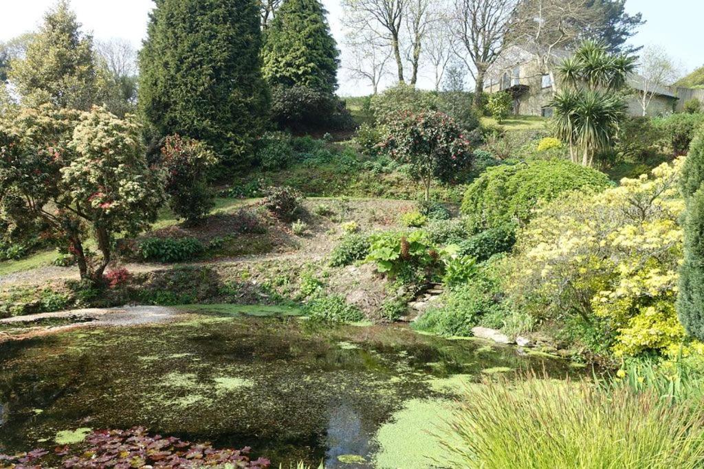 Greenswood Cottage - Cosy cottage, rural location, beautiful landscaped gardens with pond and lake view 3
