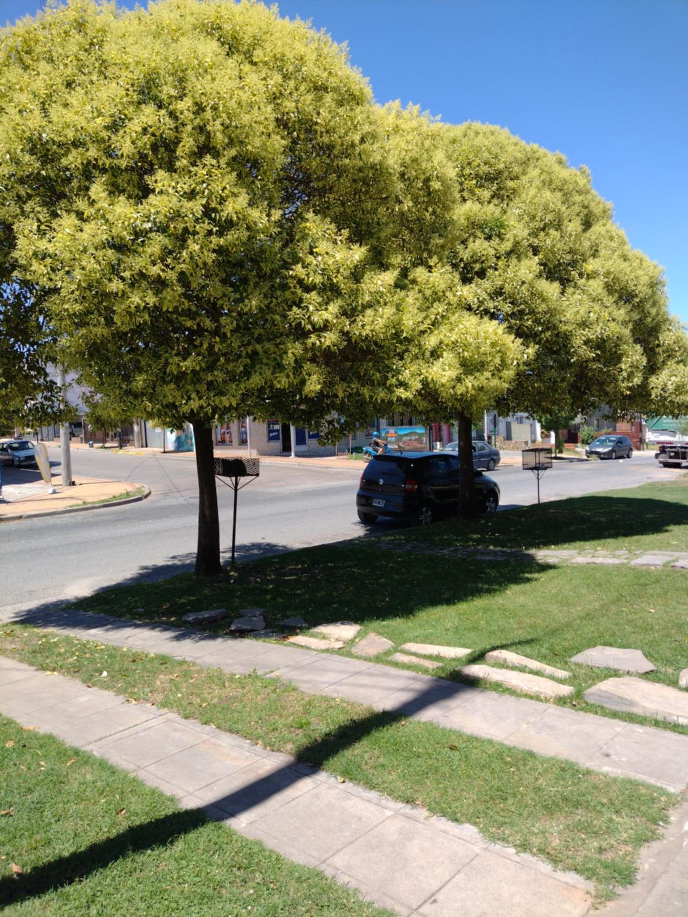 Casa en Tandil