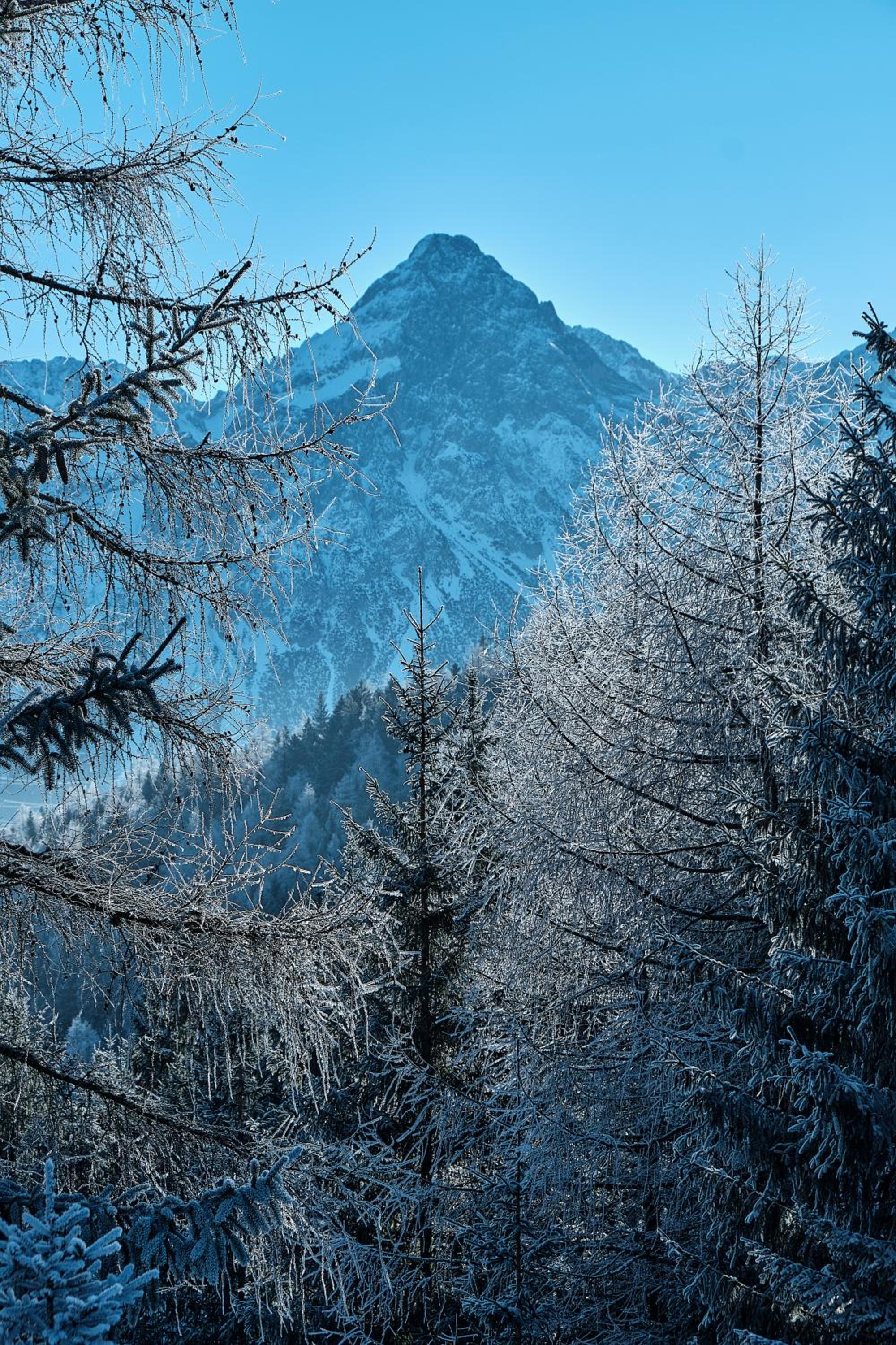 Photo 25