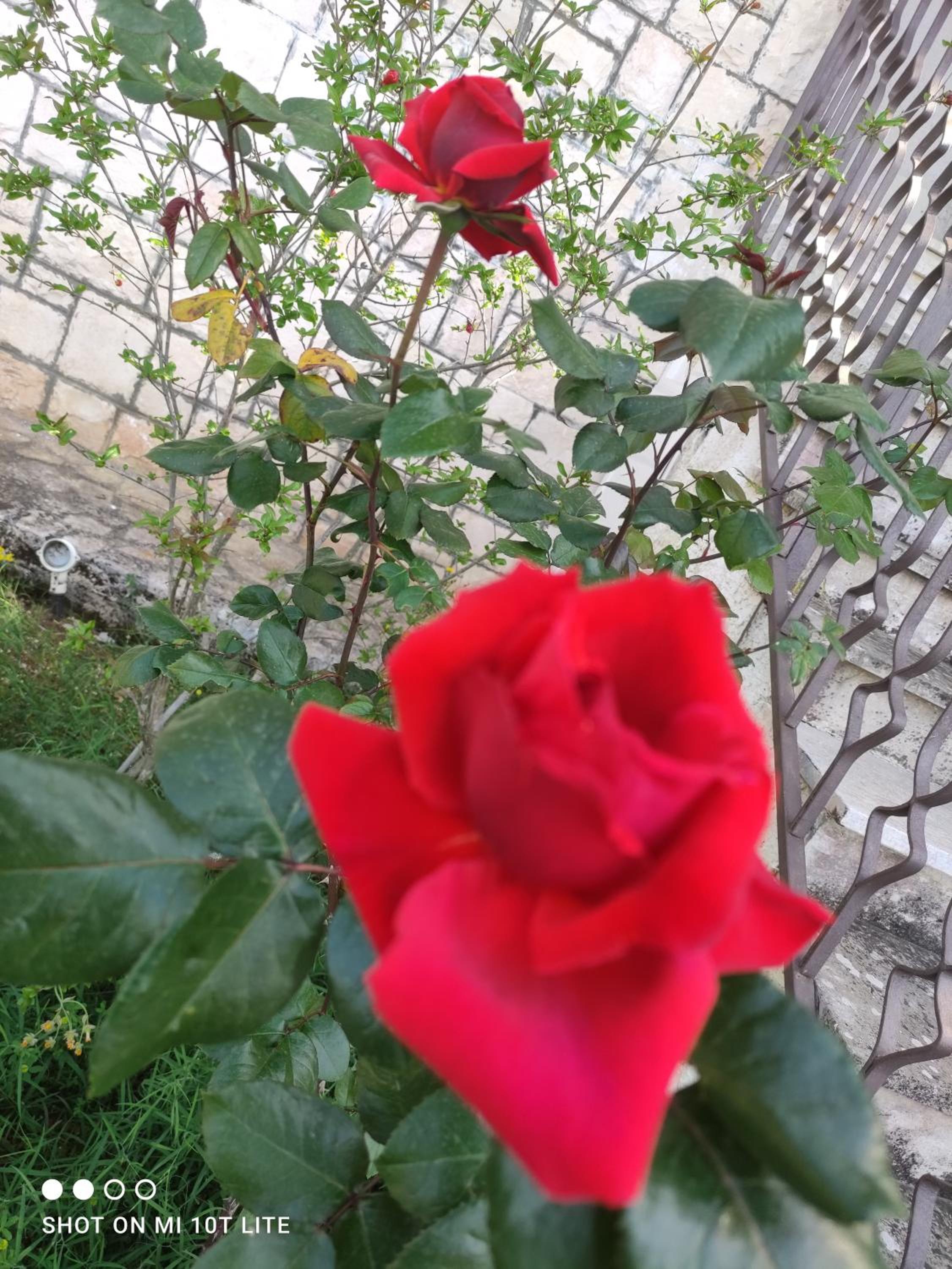 Photo 27
