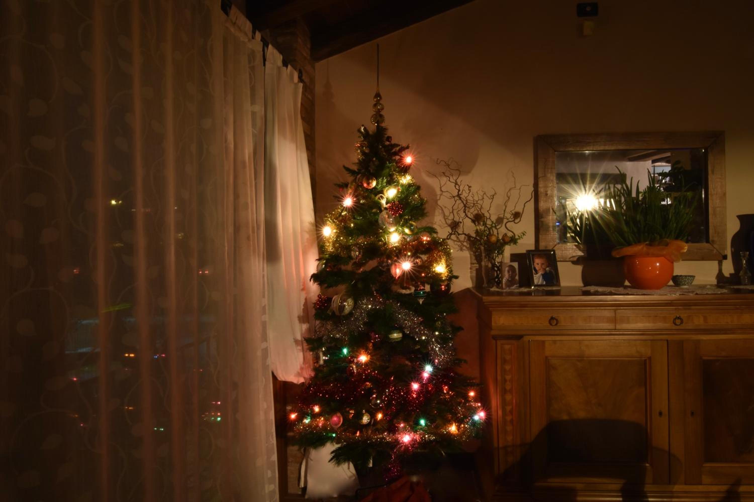 Photo 42