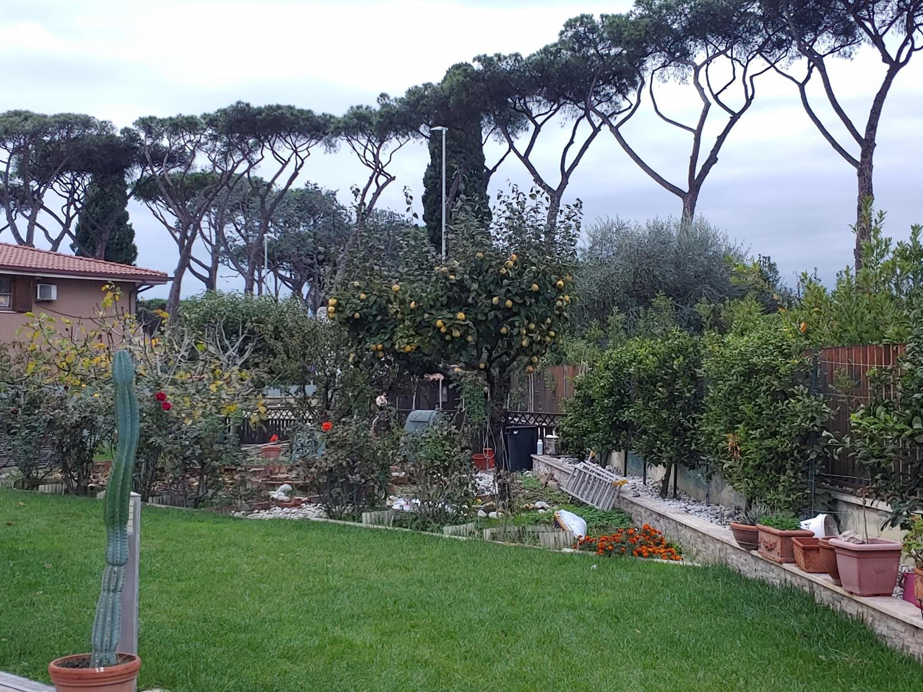 Nonna Genoveffa, camere view 5