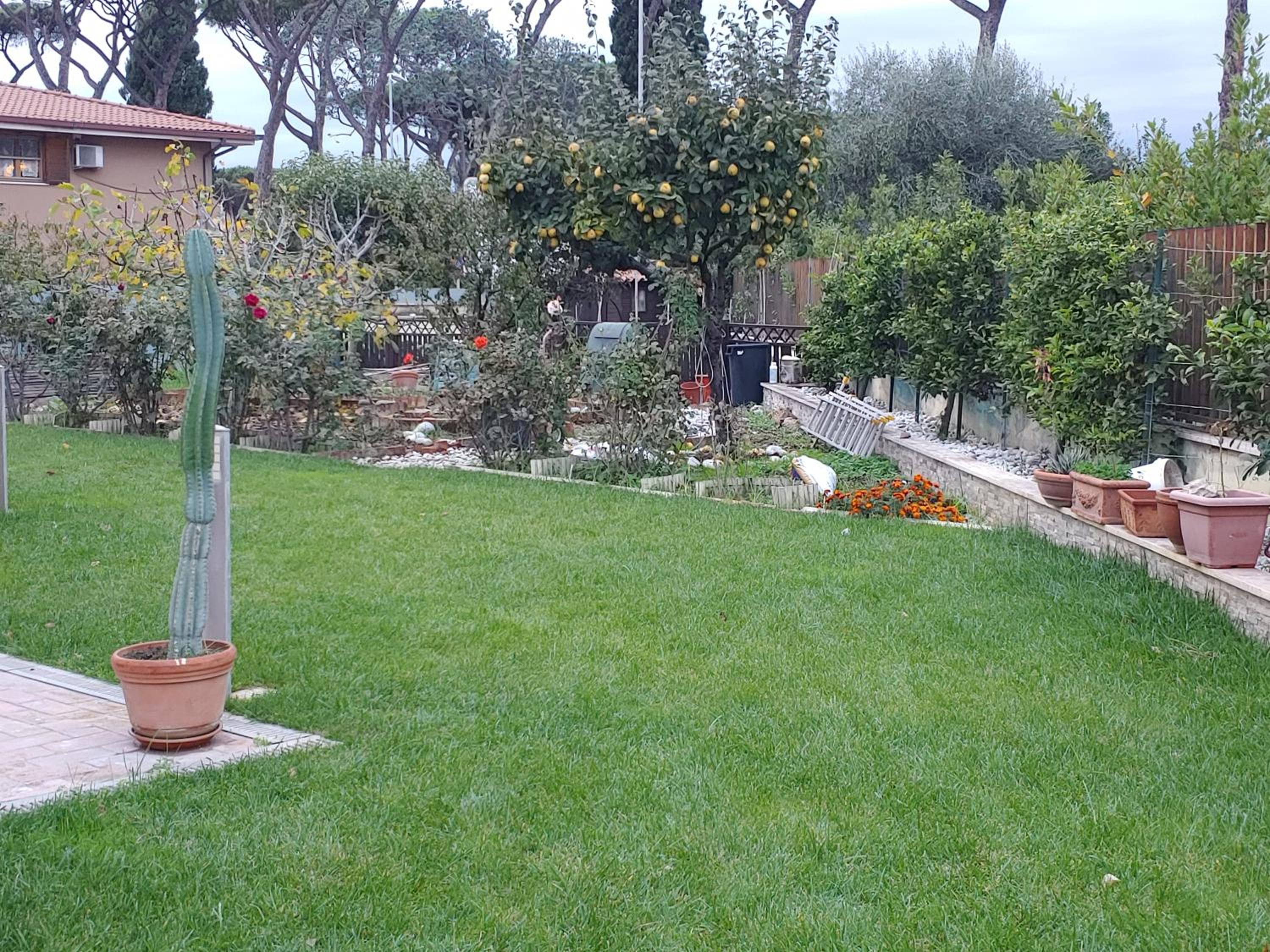 Nonna Genoveffa, camere view 4