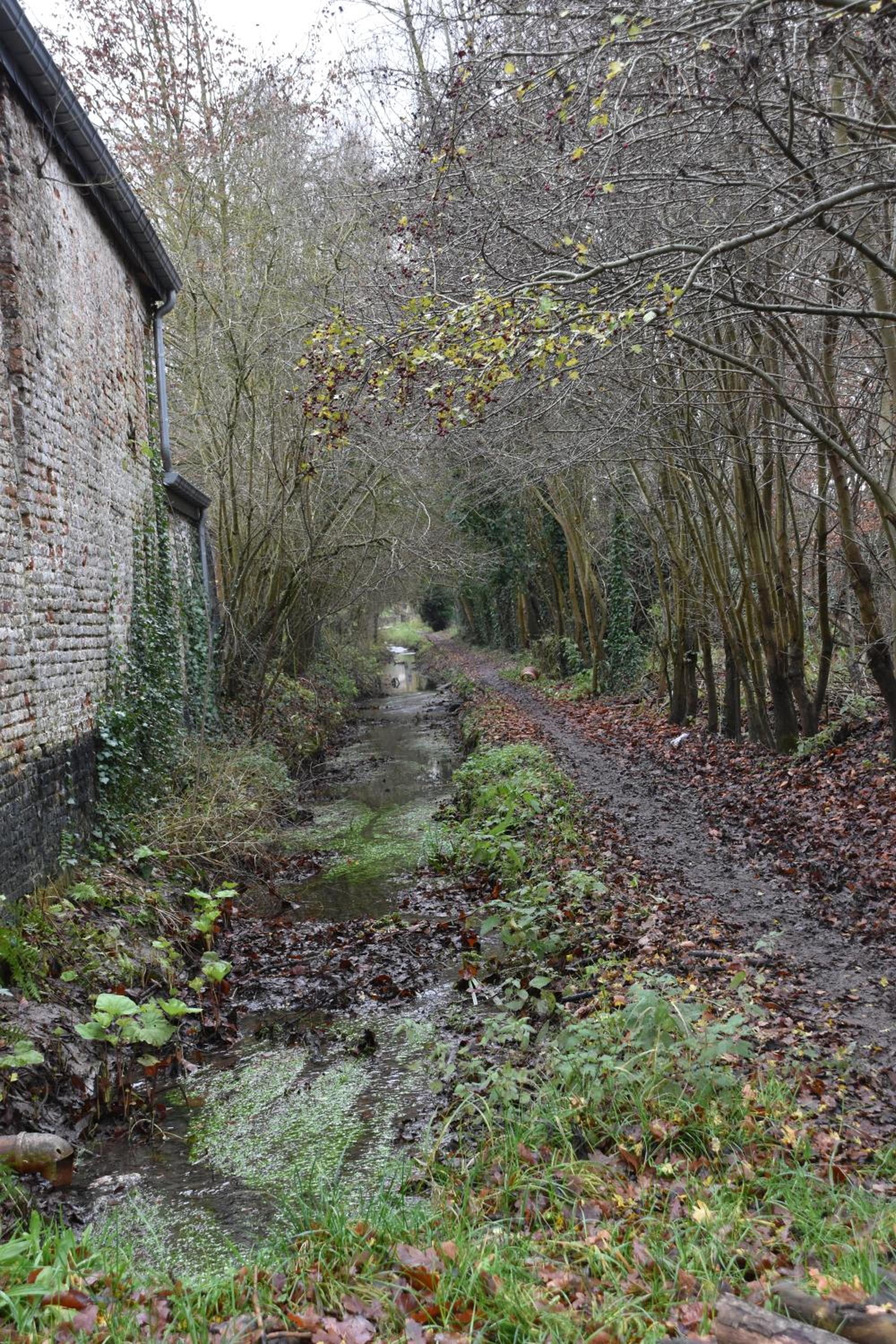Le Gîte du Pic Vert