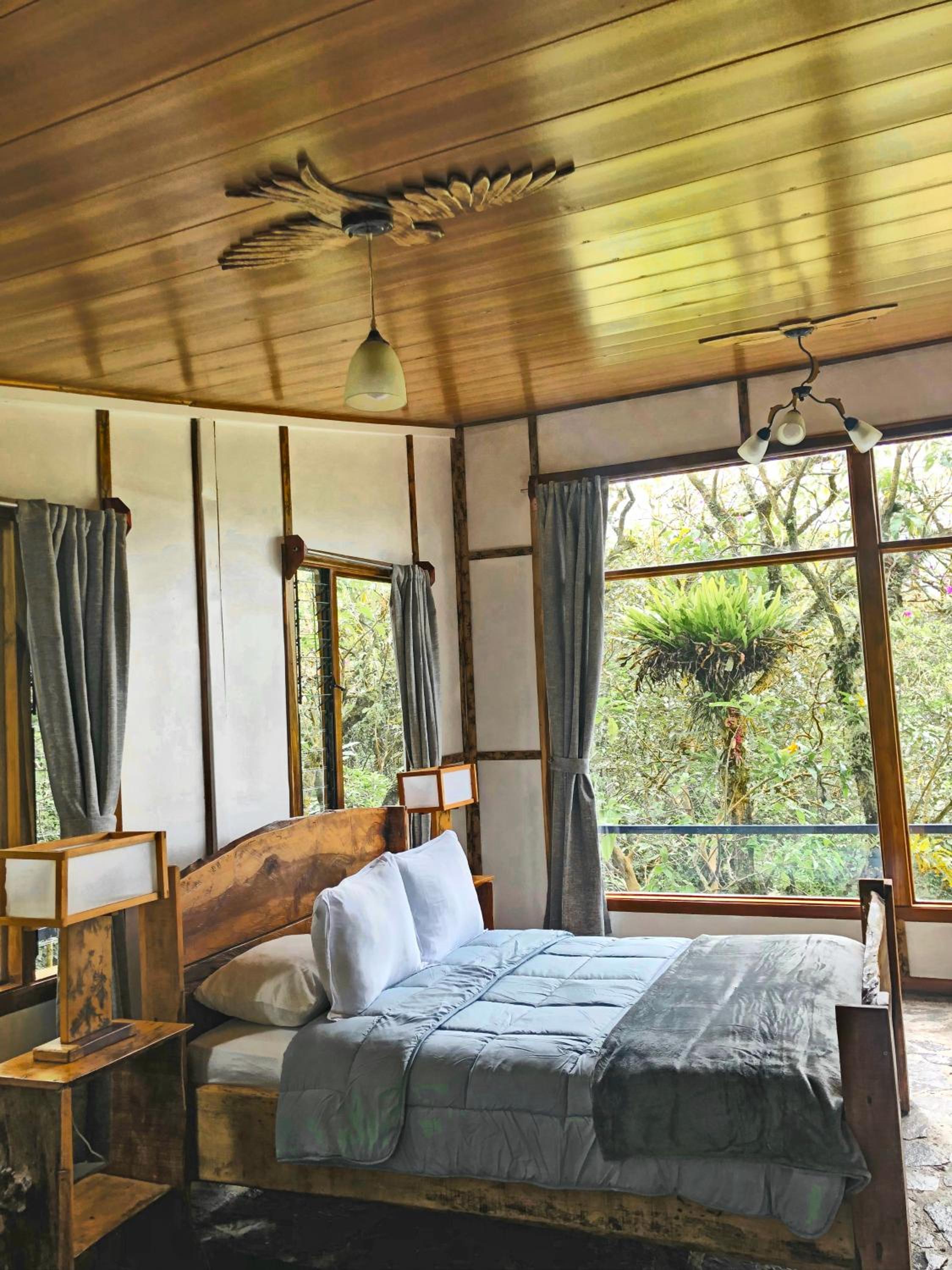 Natural Wonders House
