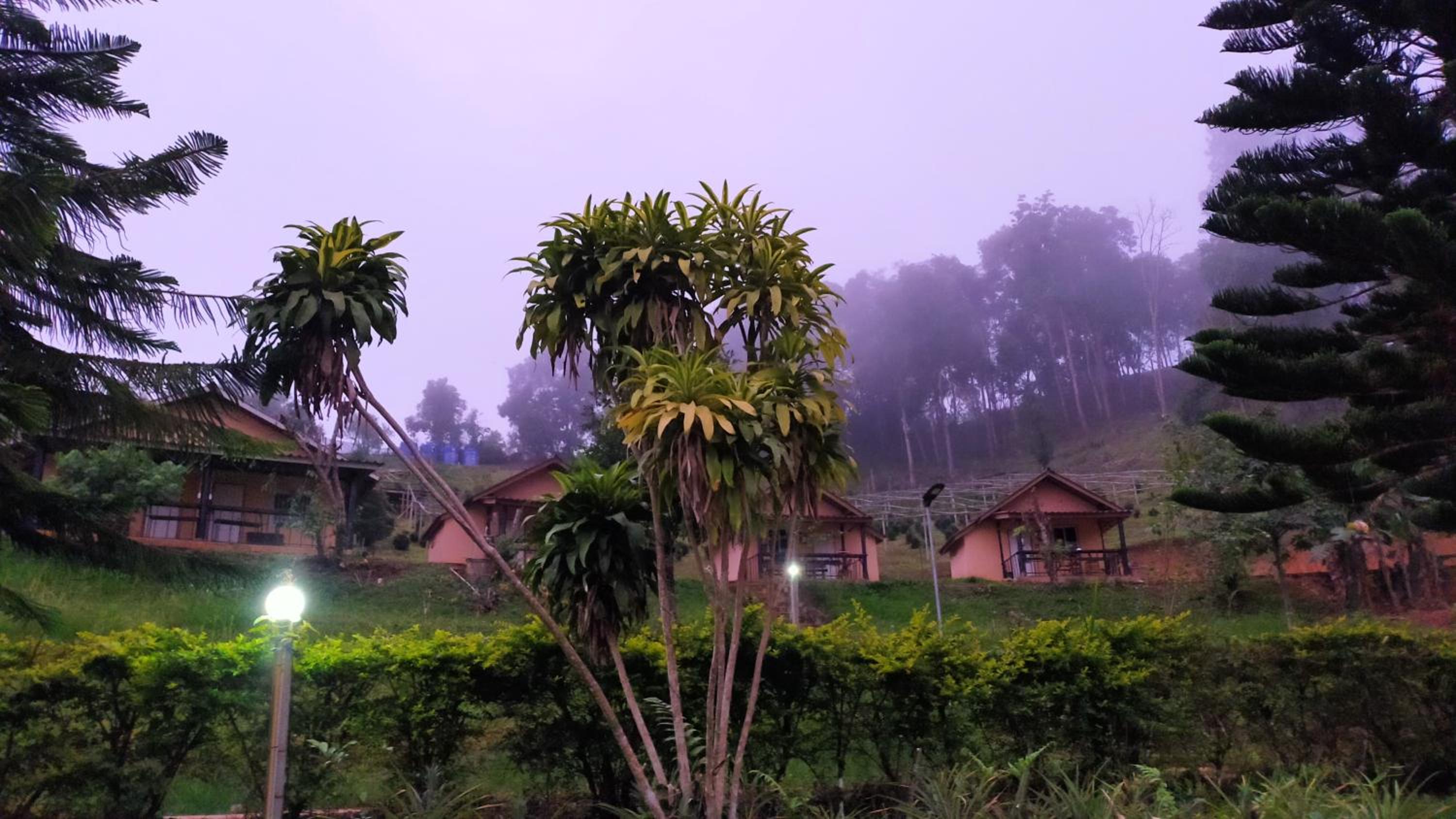 Mong Homestay Resort