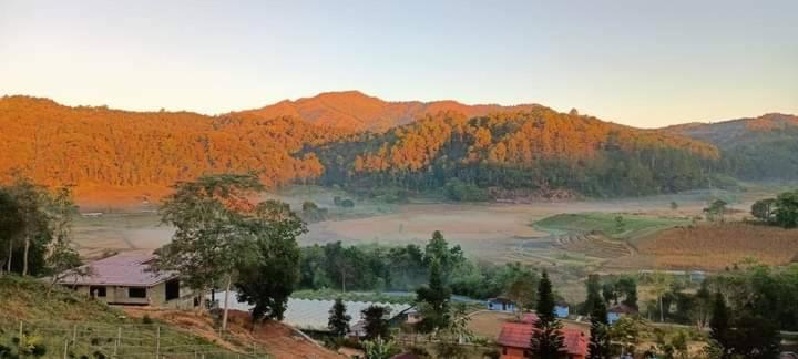 Mong Homestay Resort