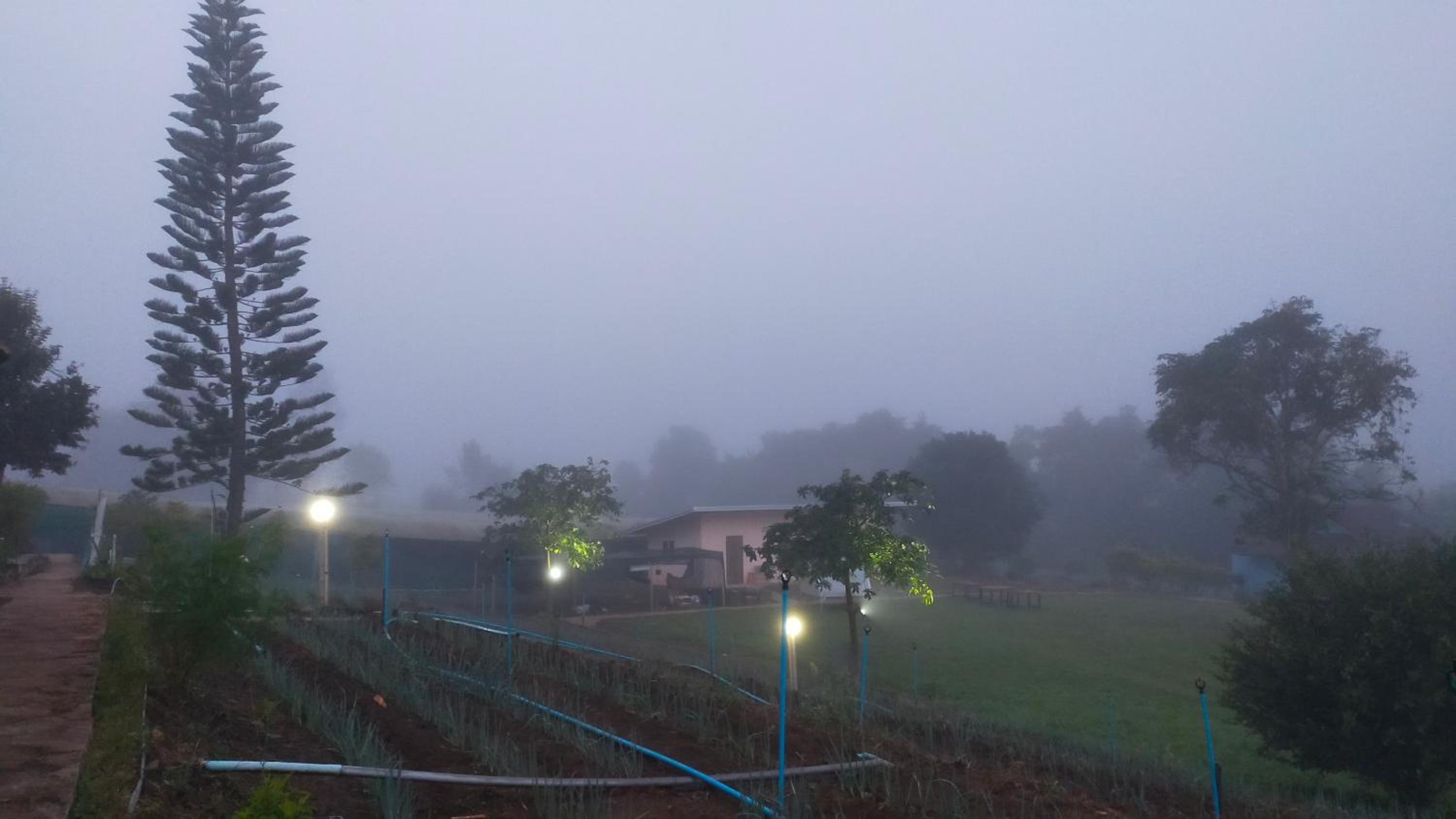 Mong Homestay Resort