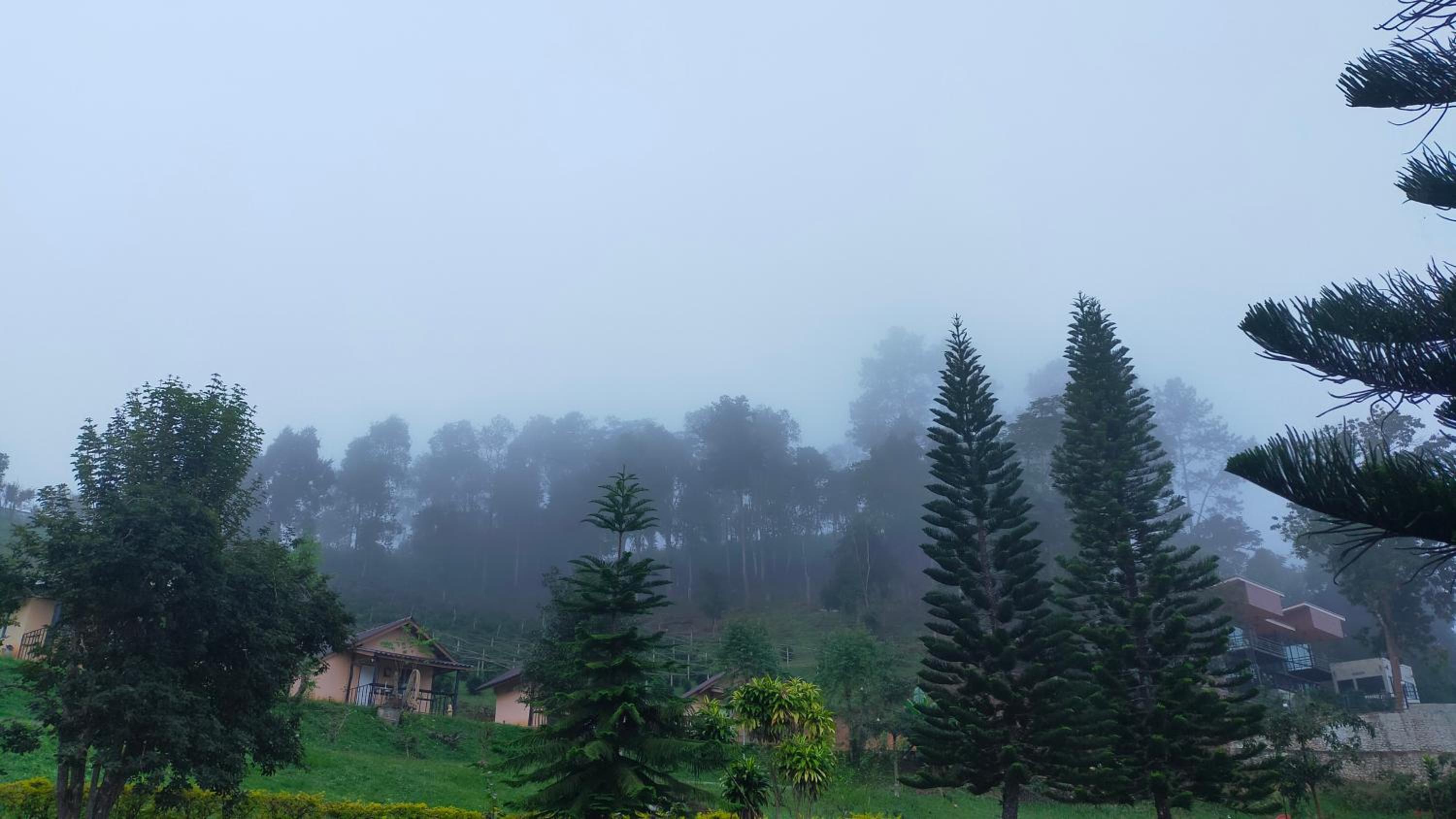 Mong Homestay Resort