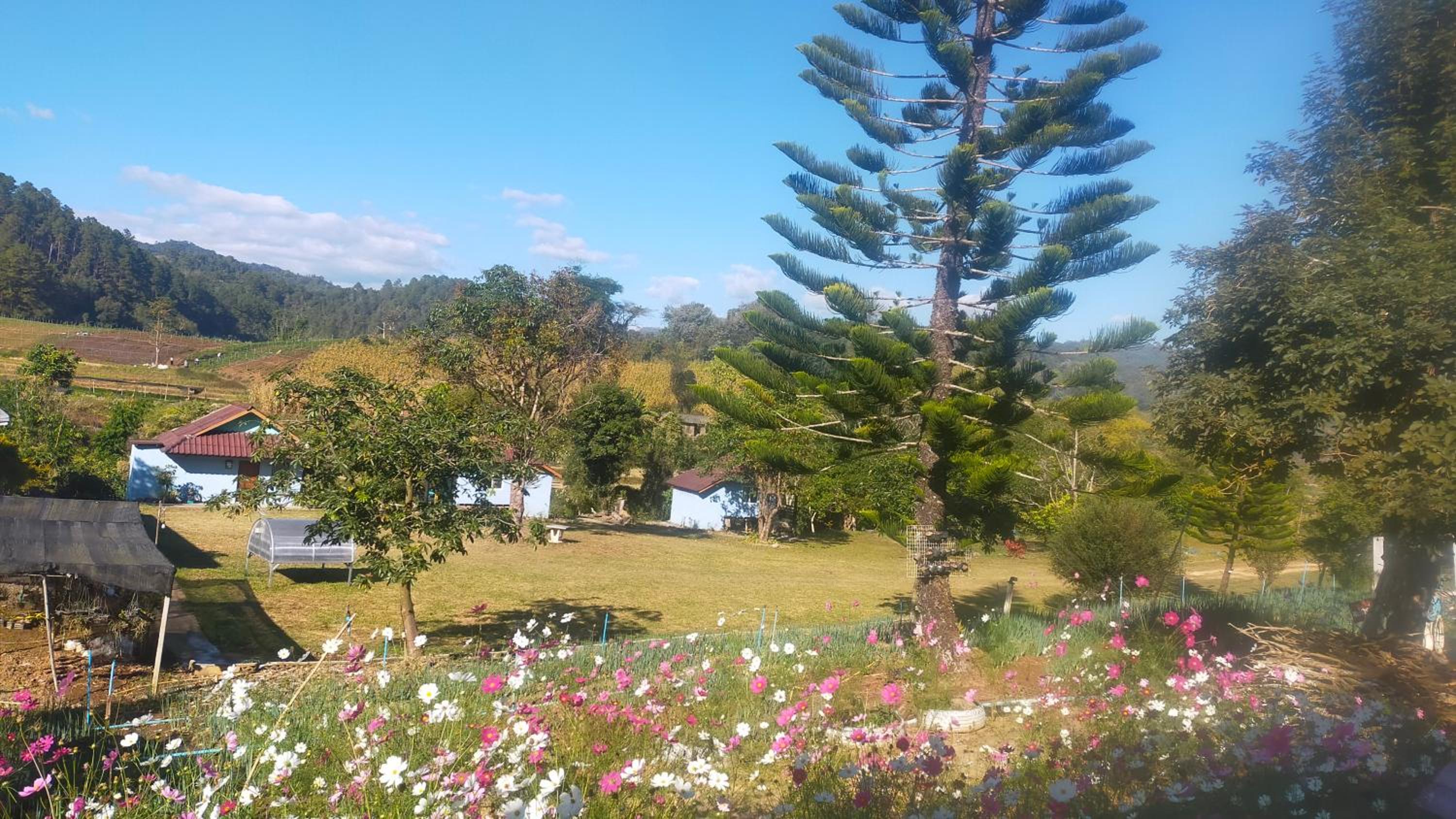Mong Homestay Resort