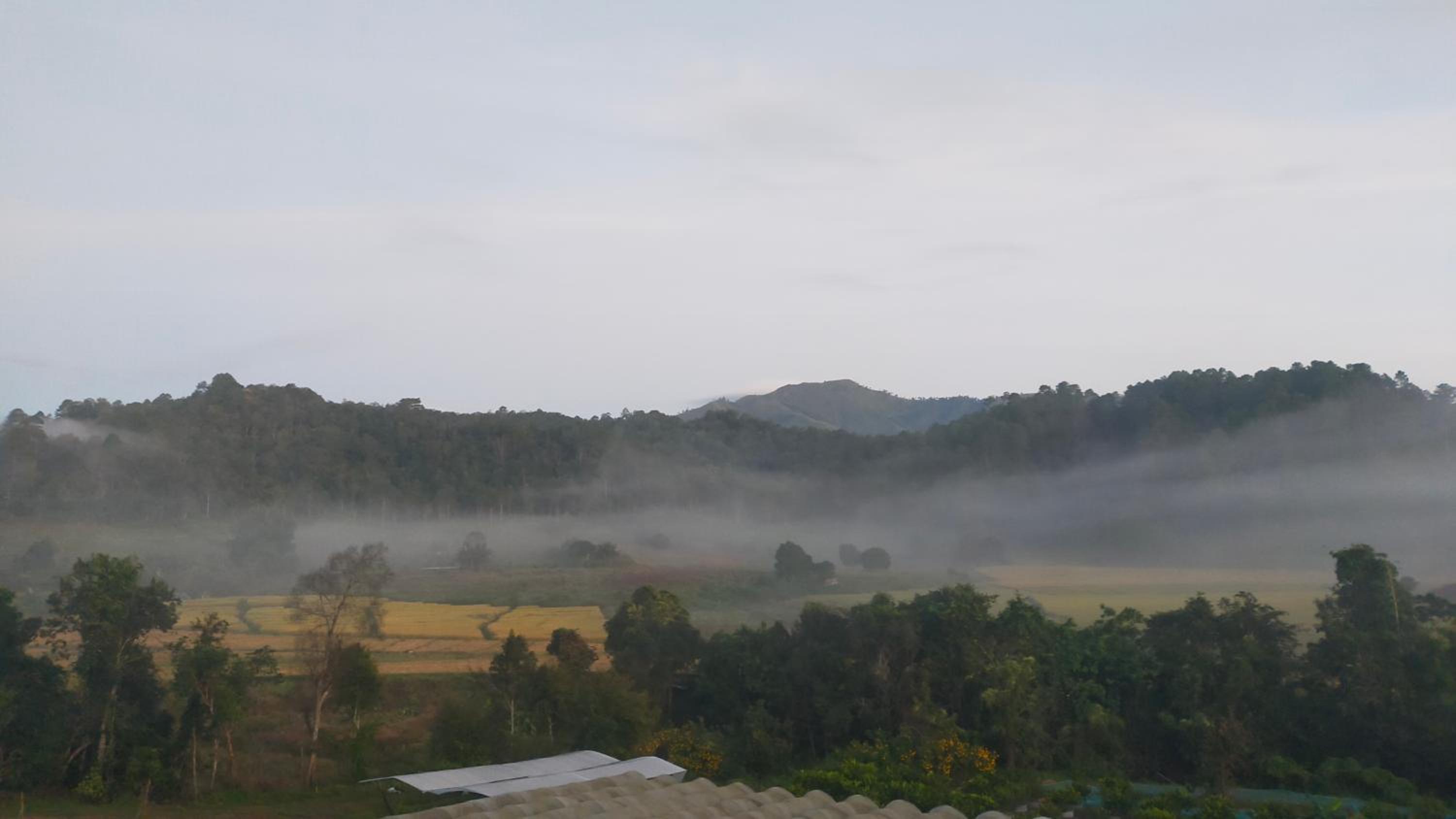 Mong Homestay Resort