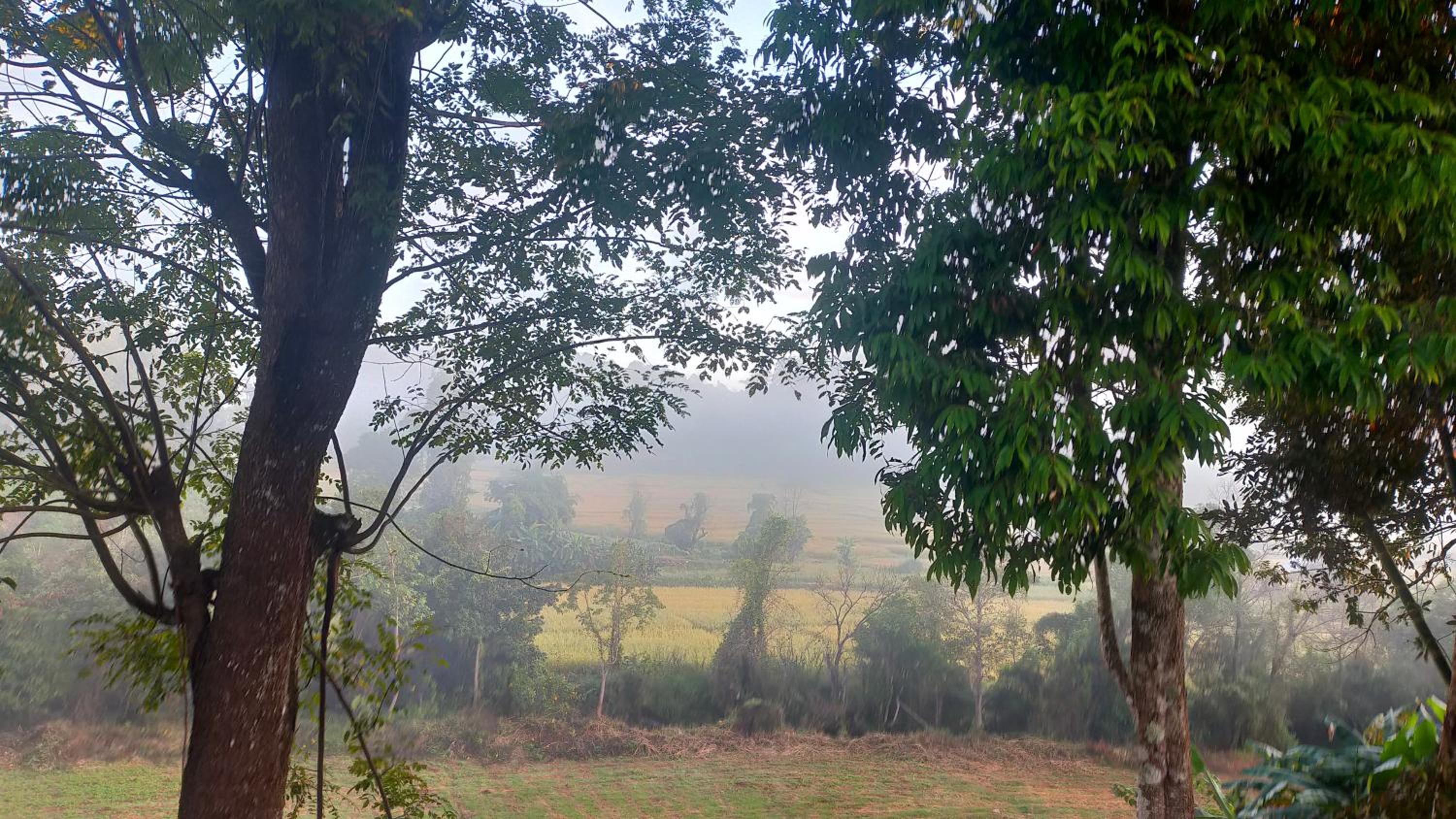 Mong Homestay Resort