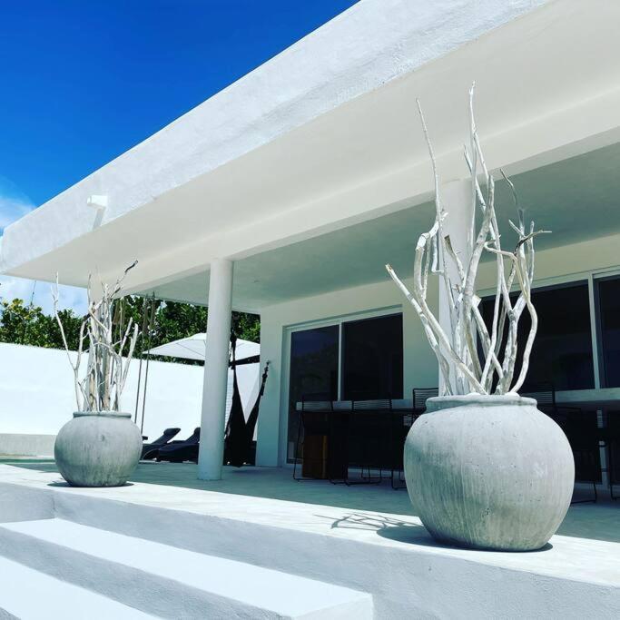 Casa Almea Sisal