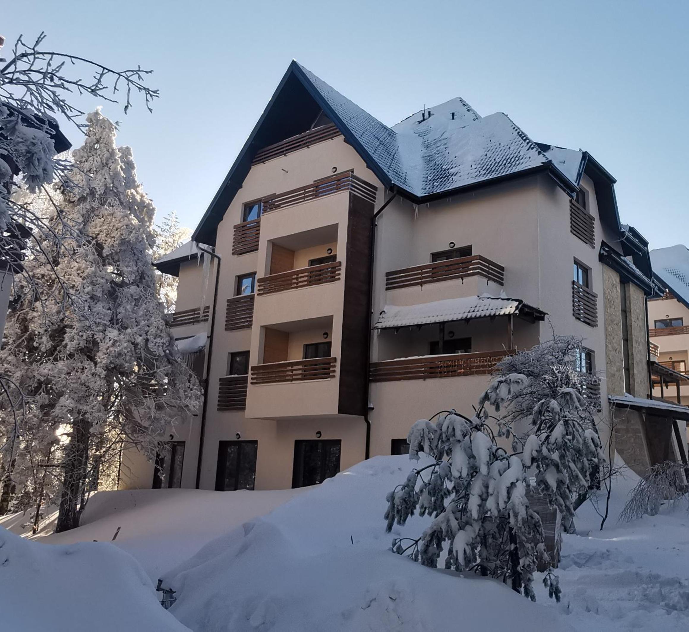 Apartman Pinewood Divcibare view 4