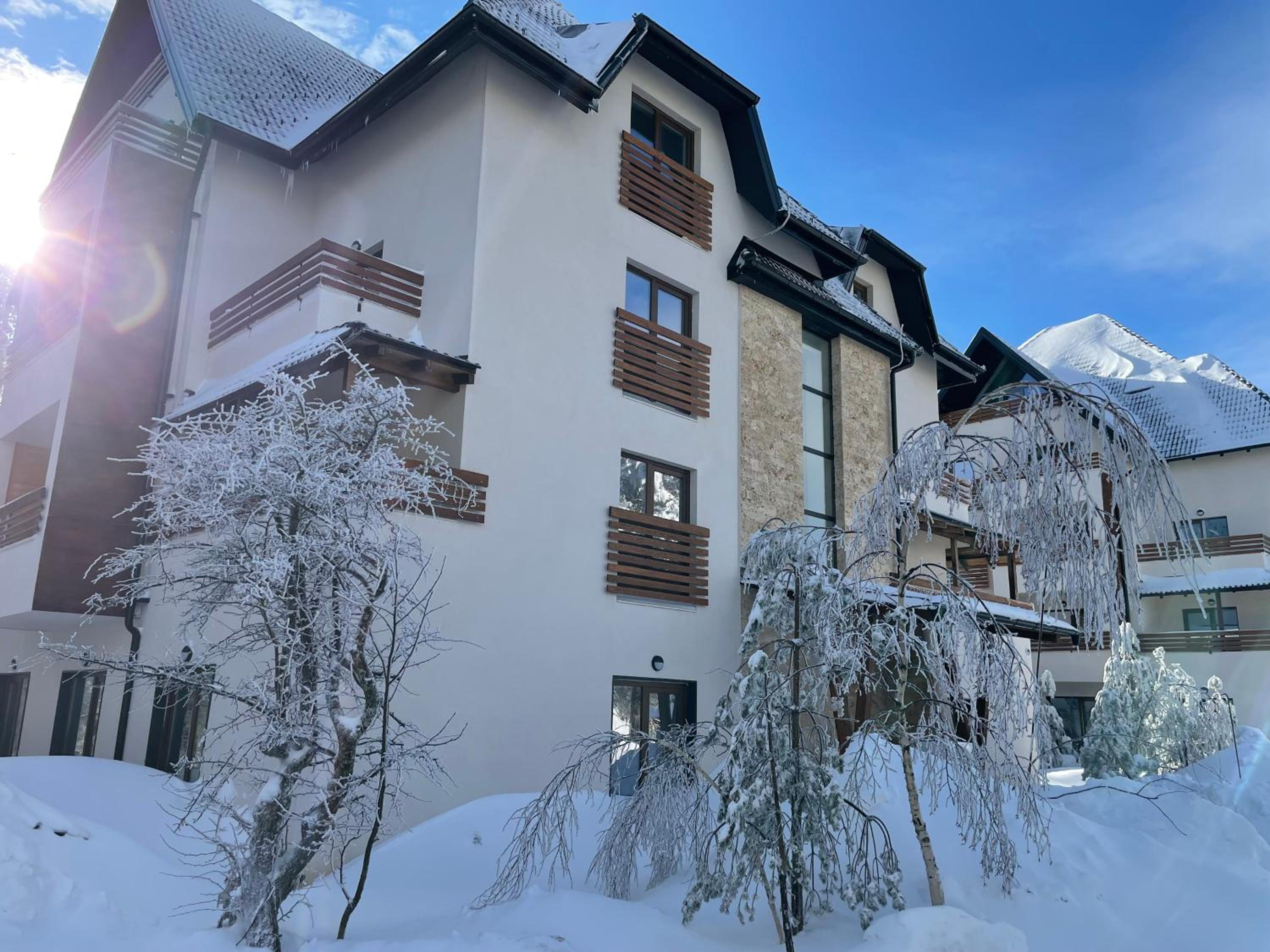 Apartman Pinewood Divcibare view 3