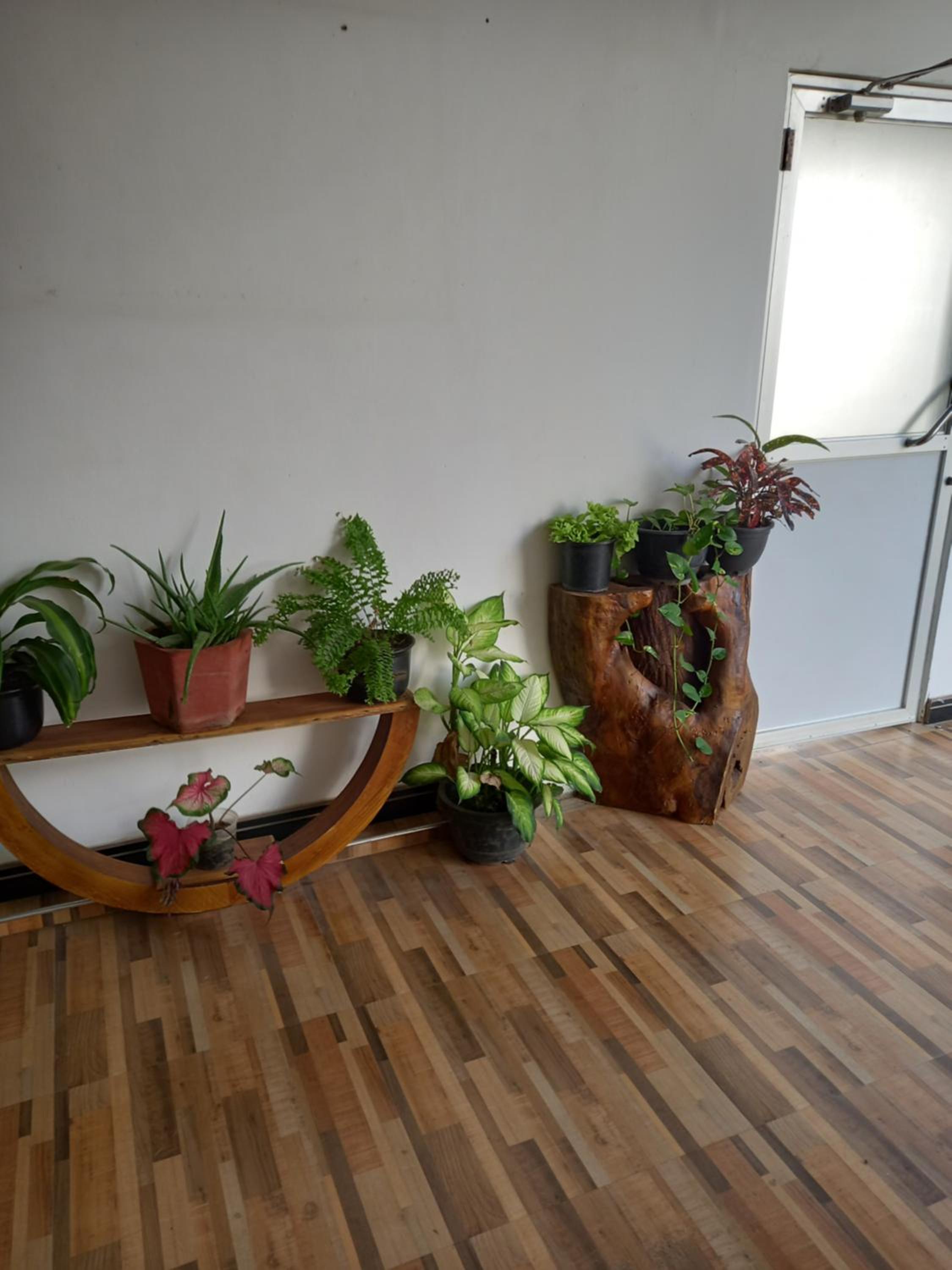 Photo 19