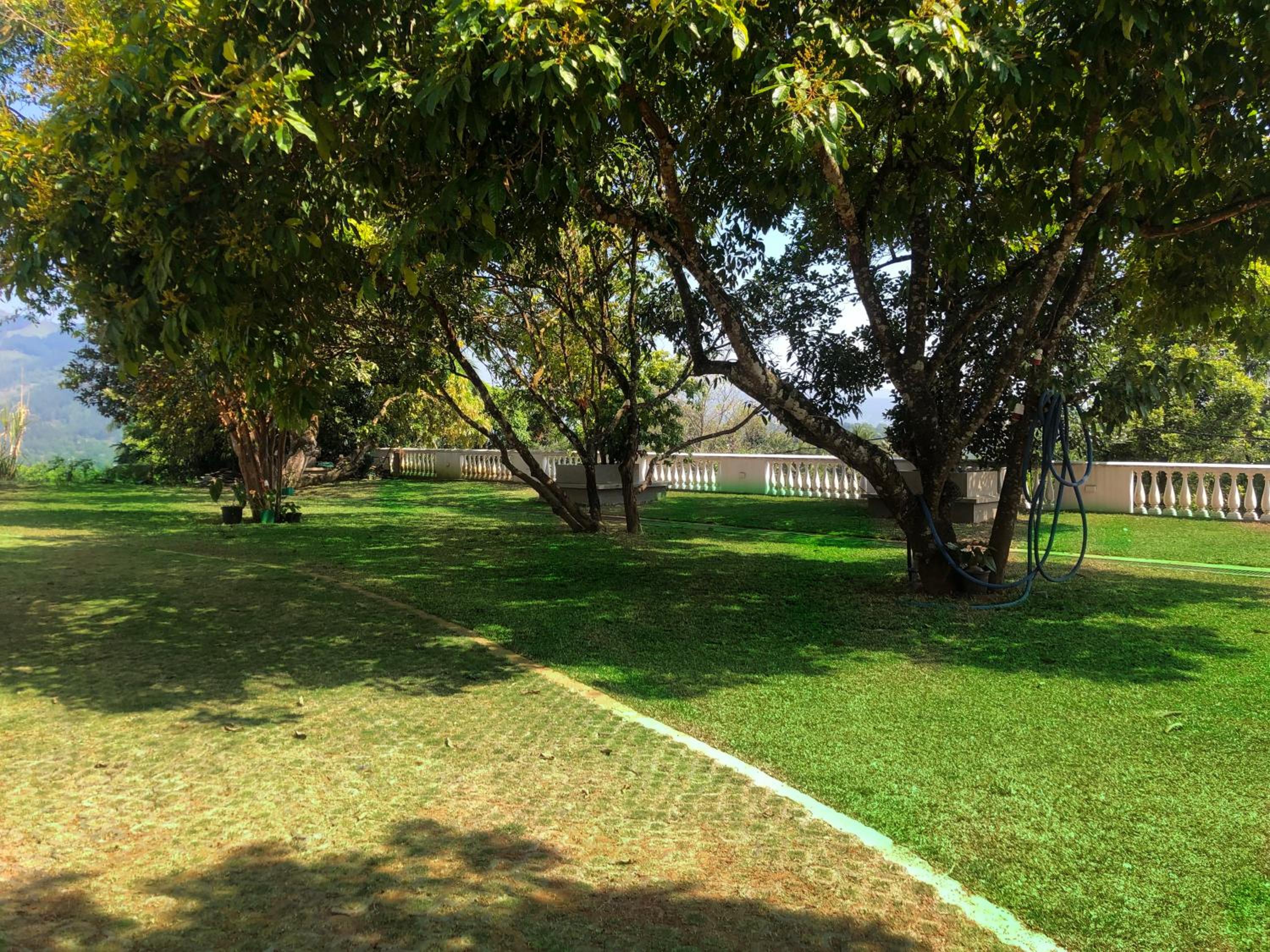 Tiverton Homestay view 5