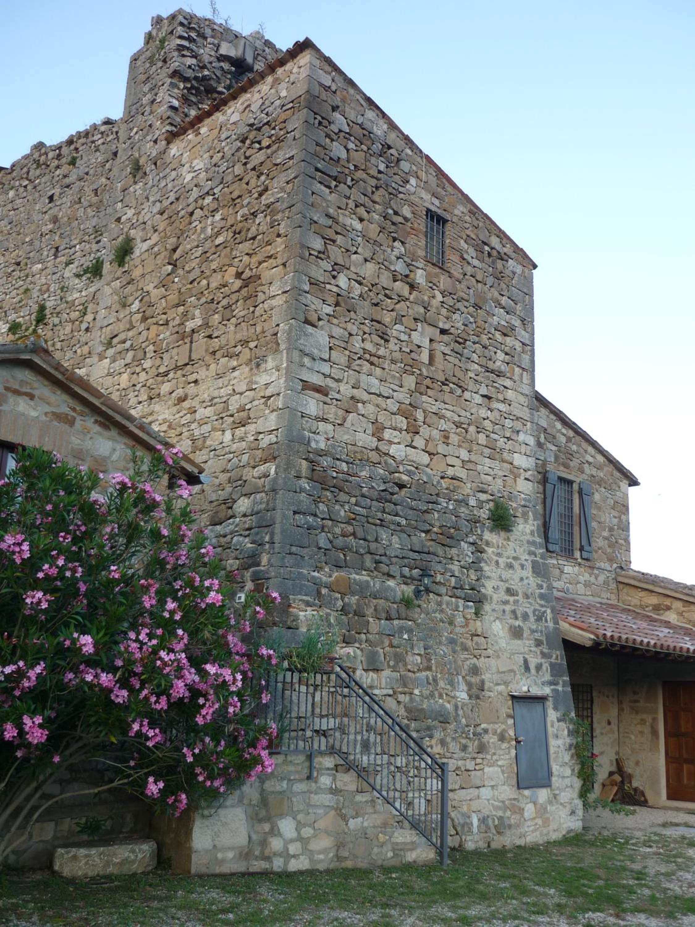 Photo 41