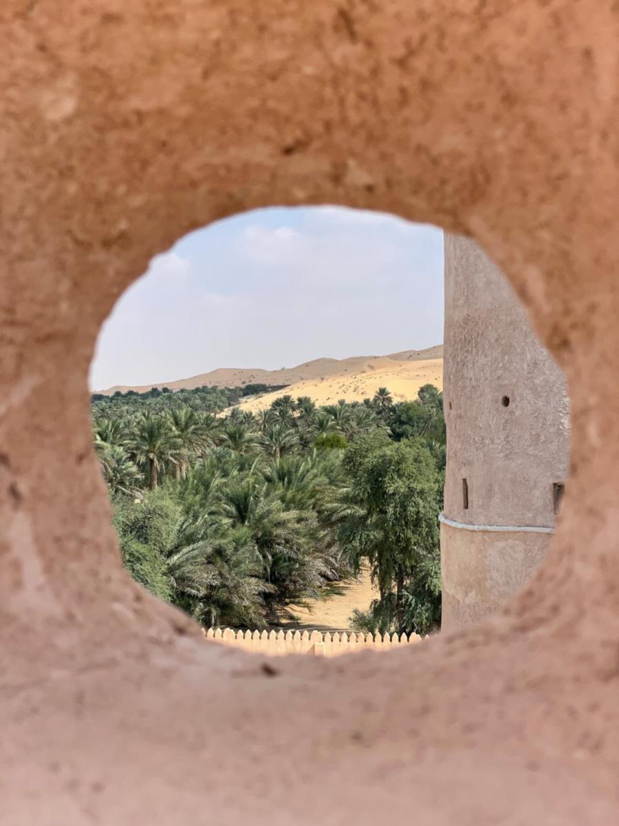 Liwa Nights