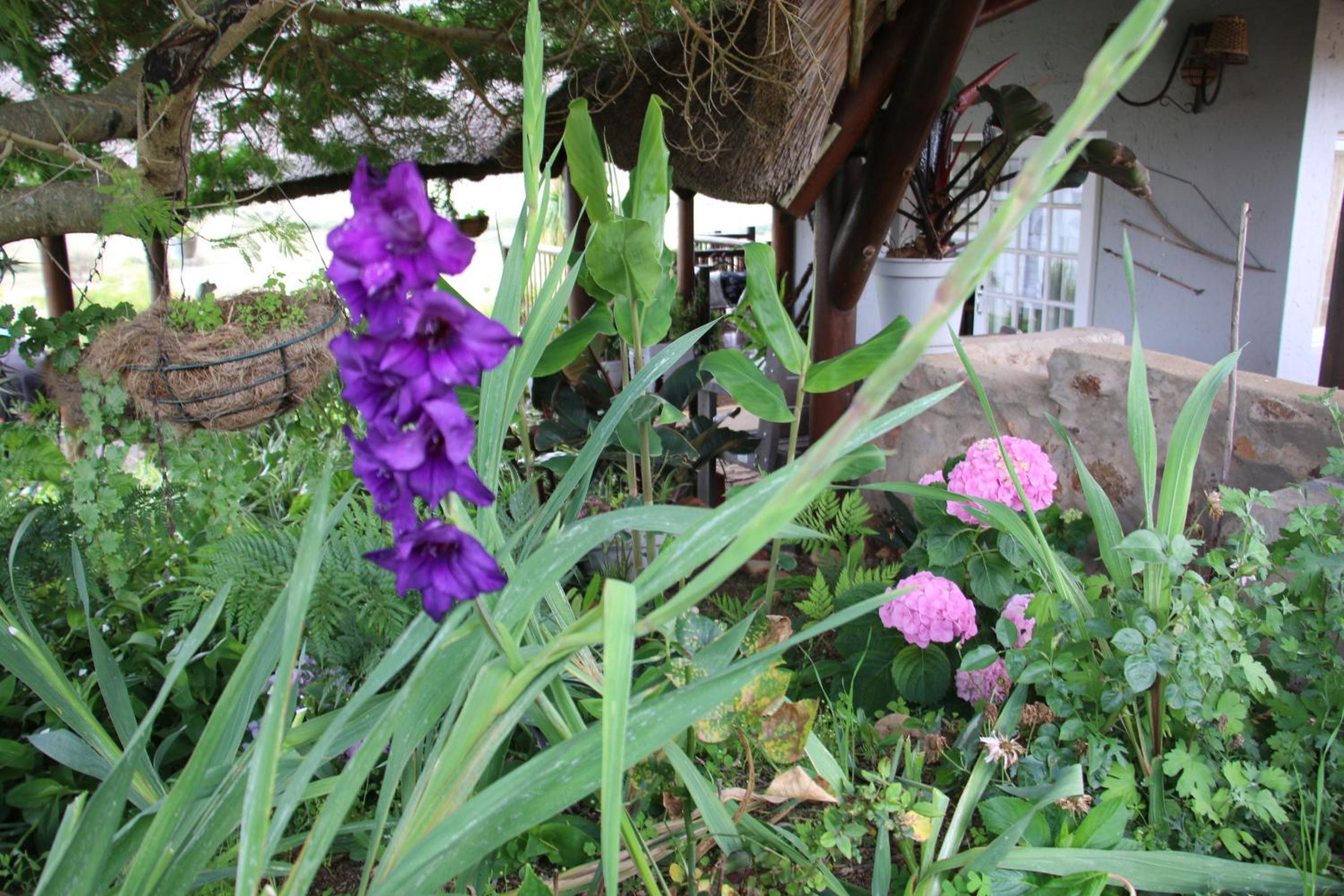 Photo 48