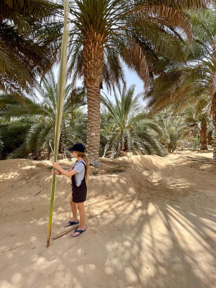 Liwa Nights