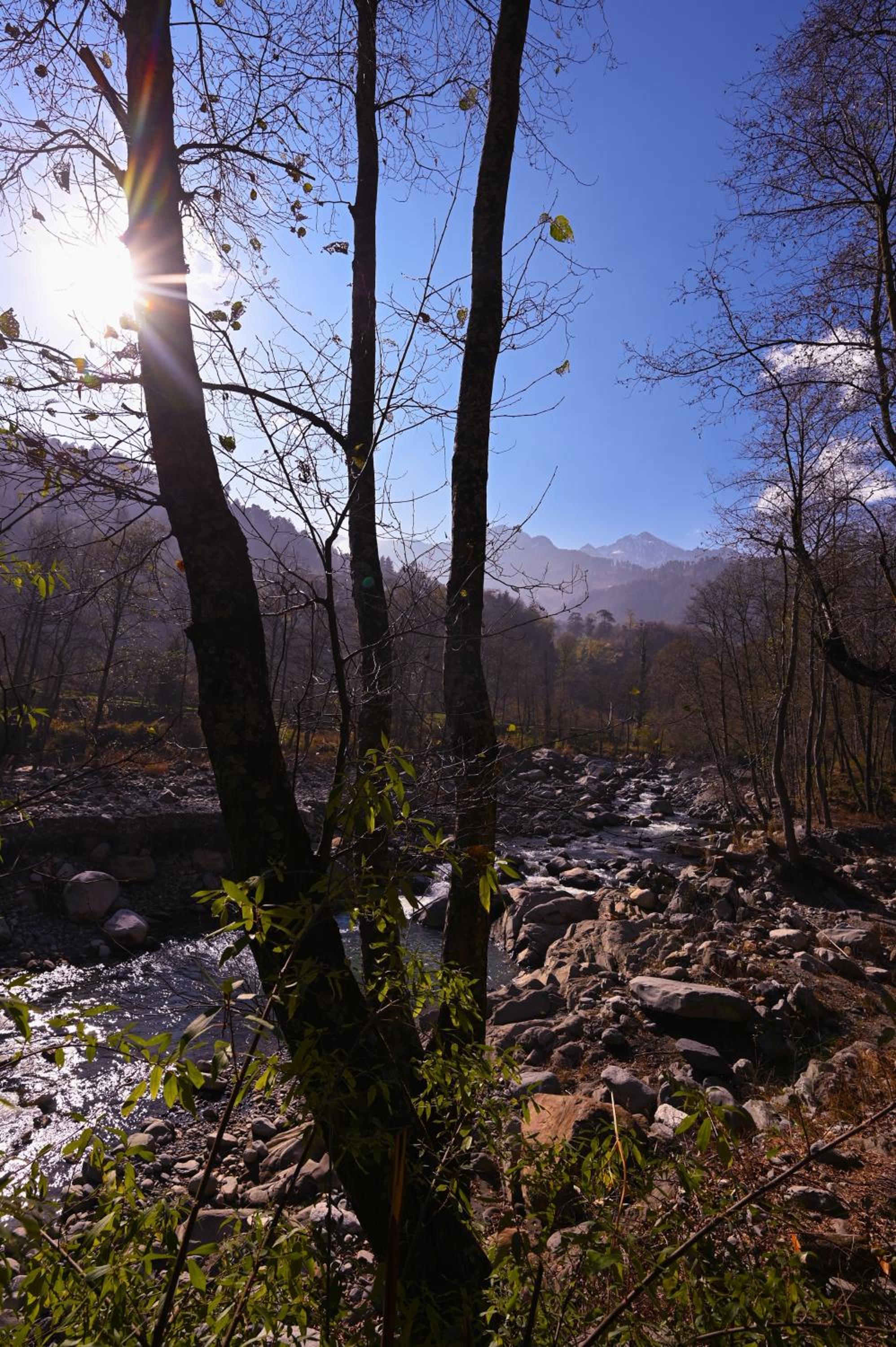 Zostel Dobhi, Manali view 5