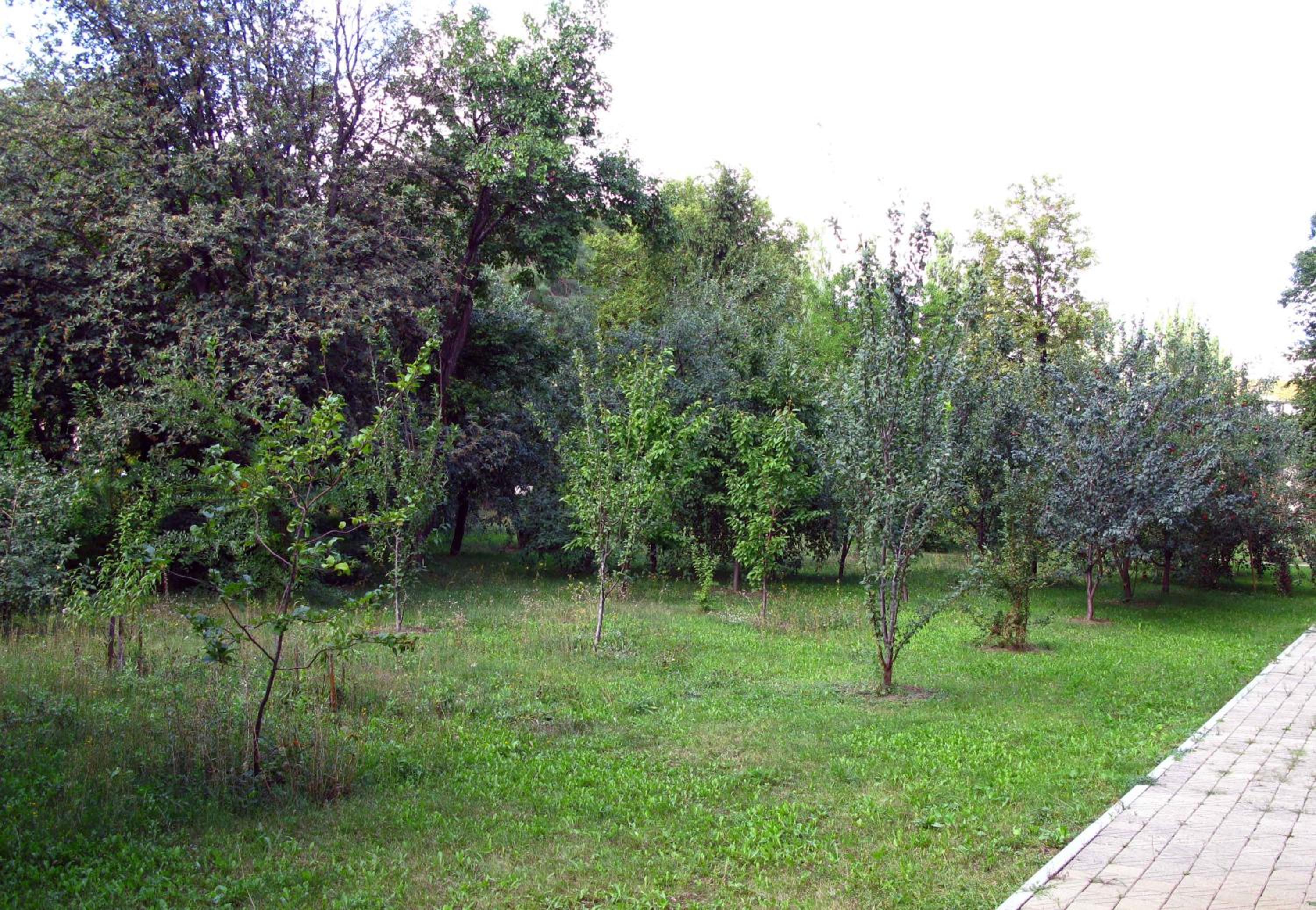 Photo 45
