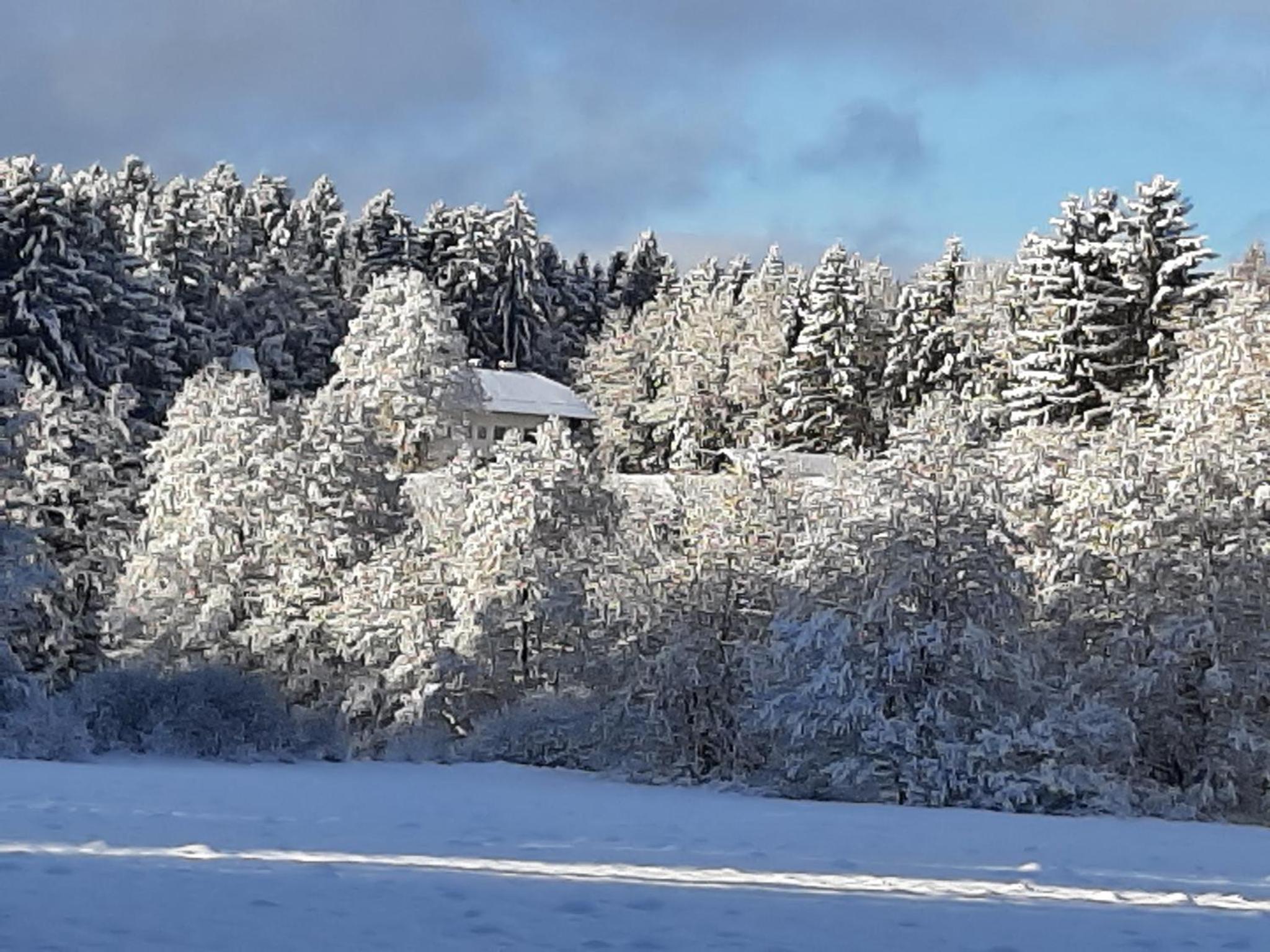 Chalet Waldstadl oder Andrea's Woidhaisl